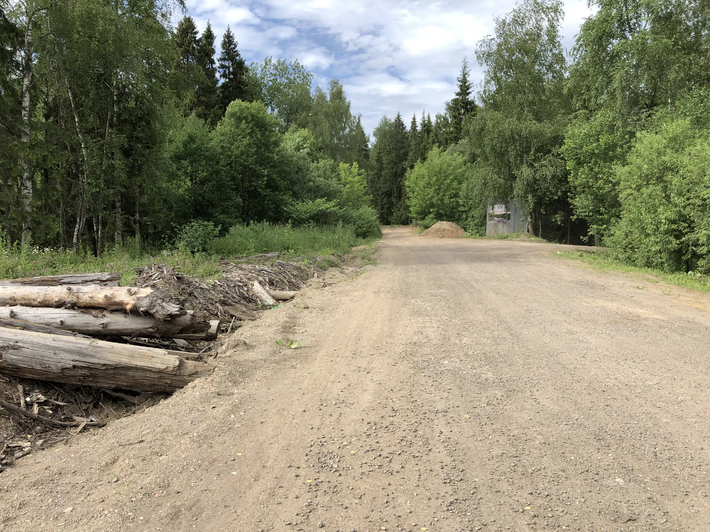Хвойные лесные тропы, фото 1