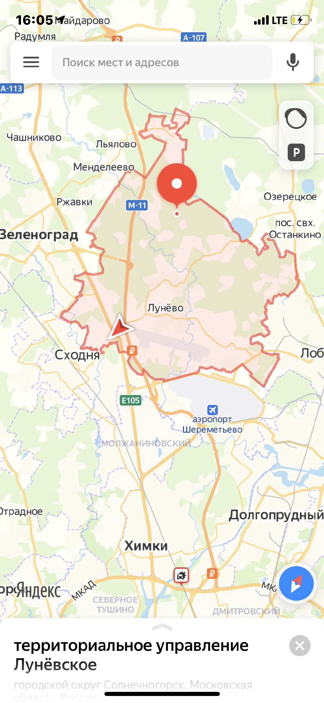 Хвойные лесные тропы, фото 15