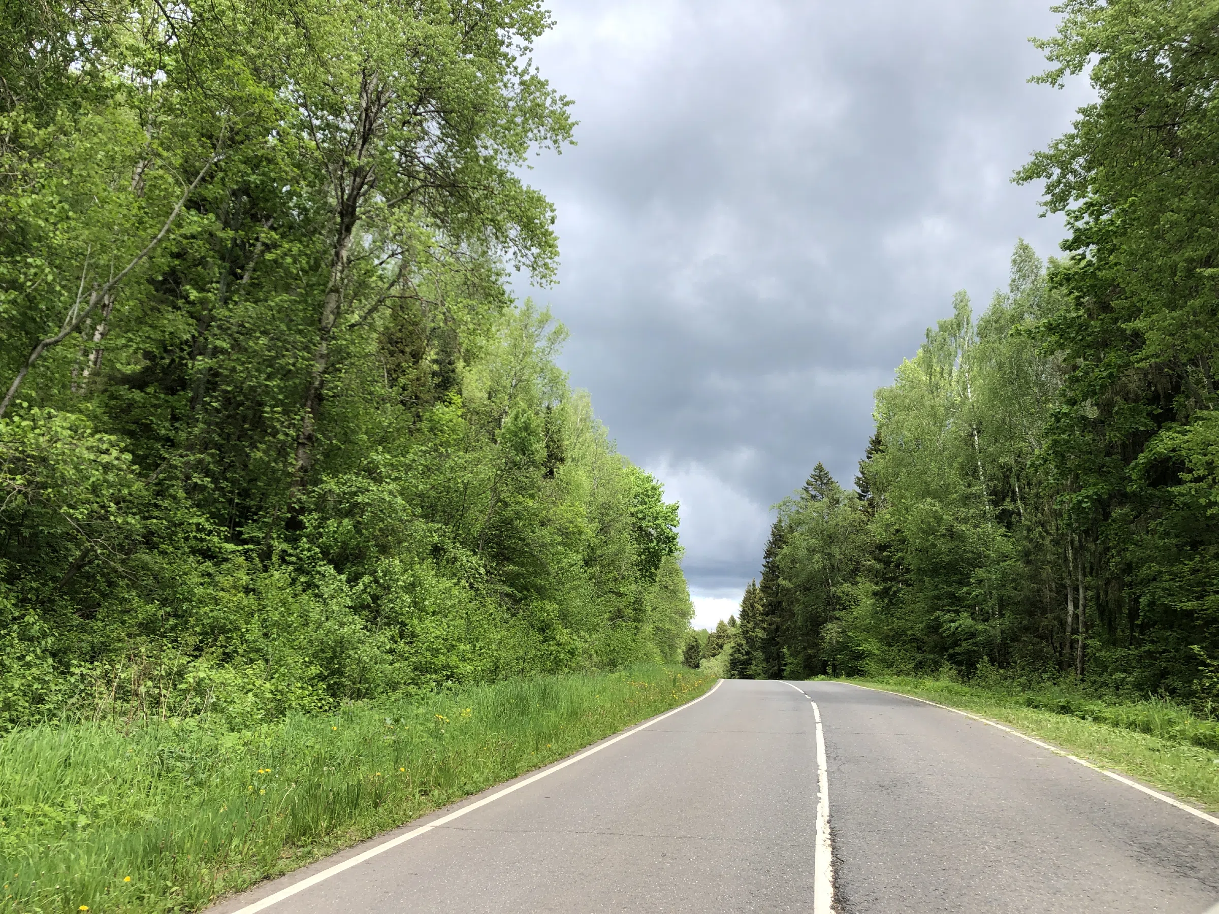 Дорога в тумане, фото 22