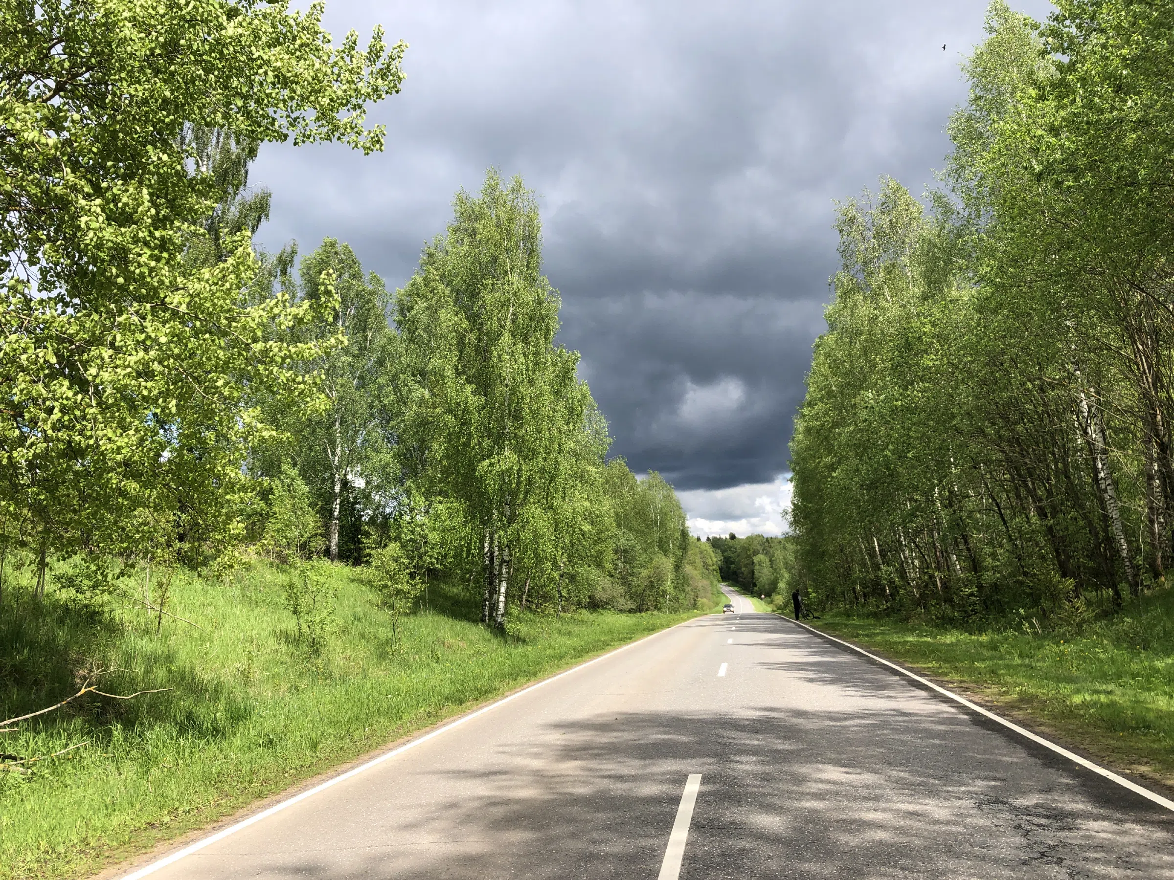 Дорога в тумане, фото 21