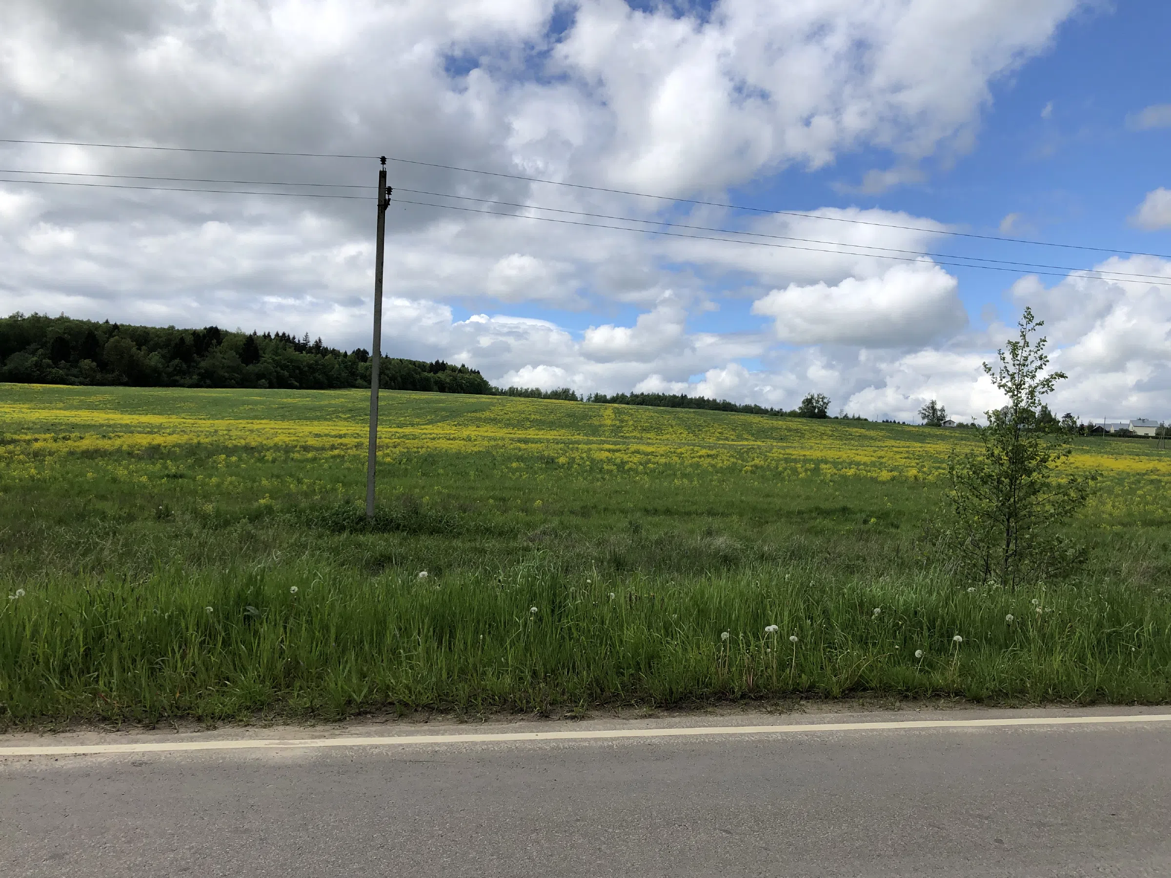 Дорога в тумане, фото 24