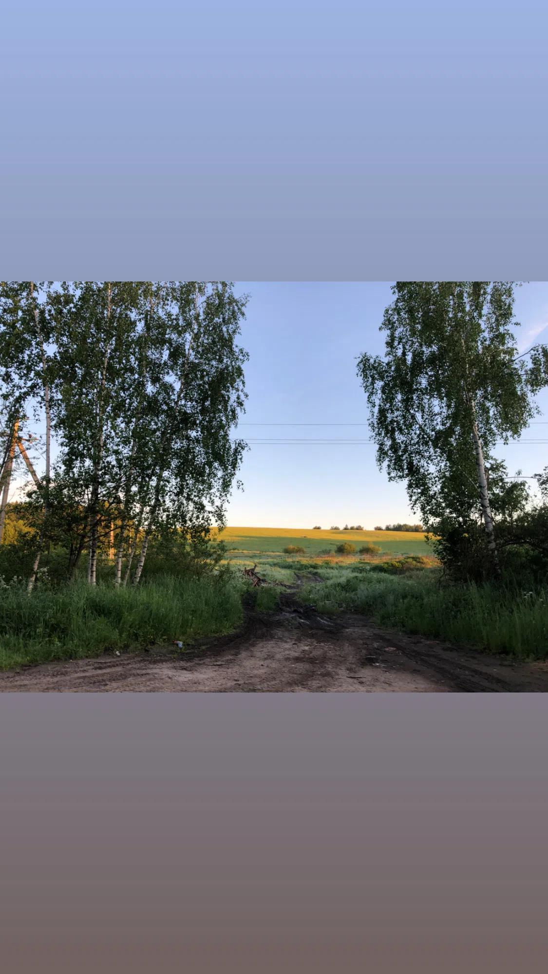 Дорога в тумане, фото 5