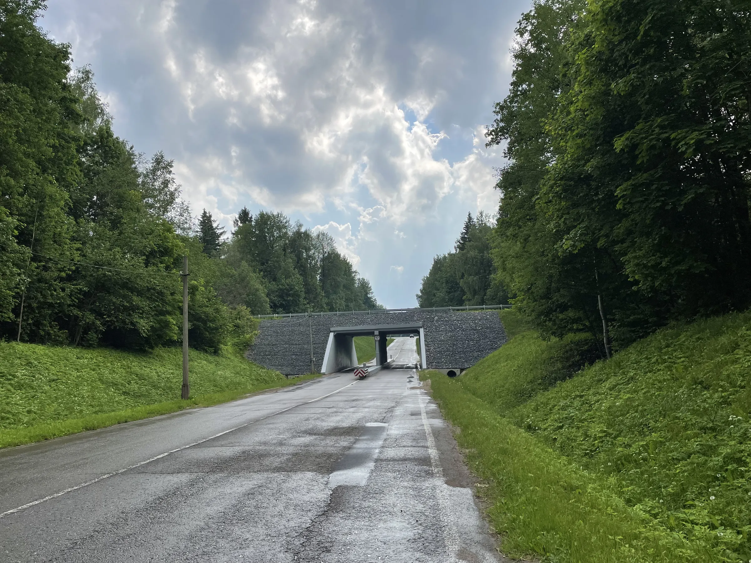 Эстакада лесной долины, фото 1