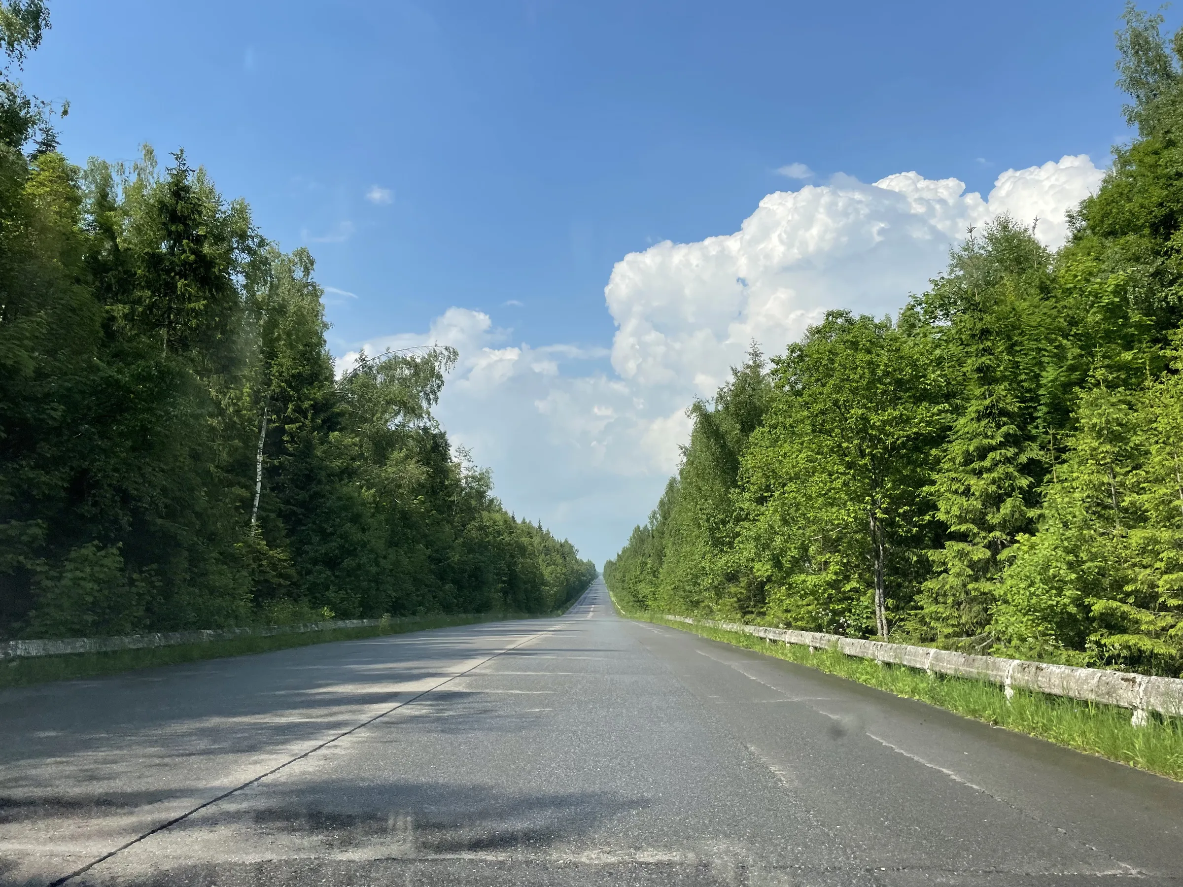 Эстакада лесной долины, фото 19