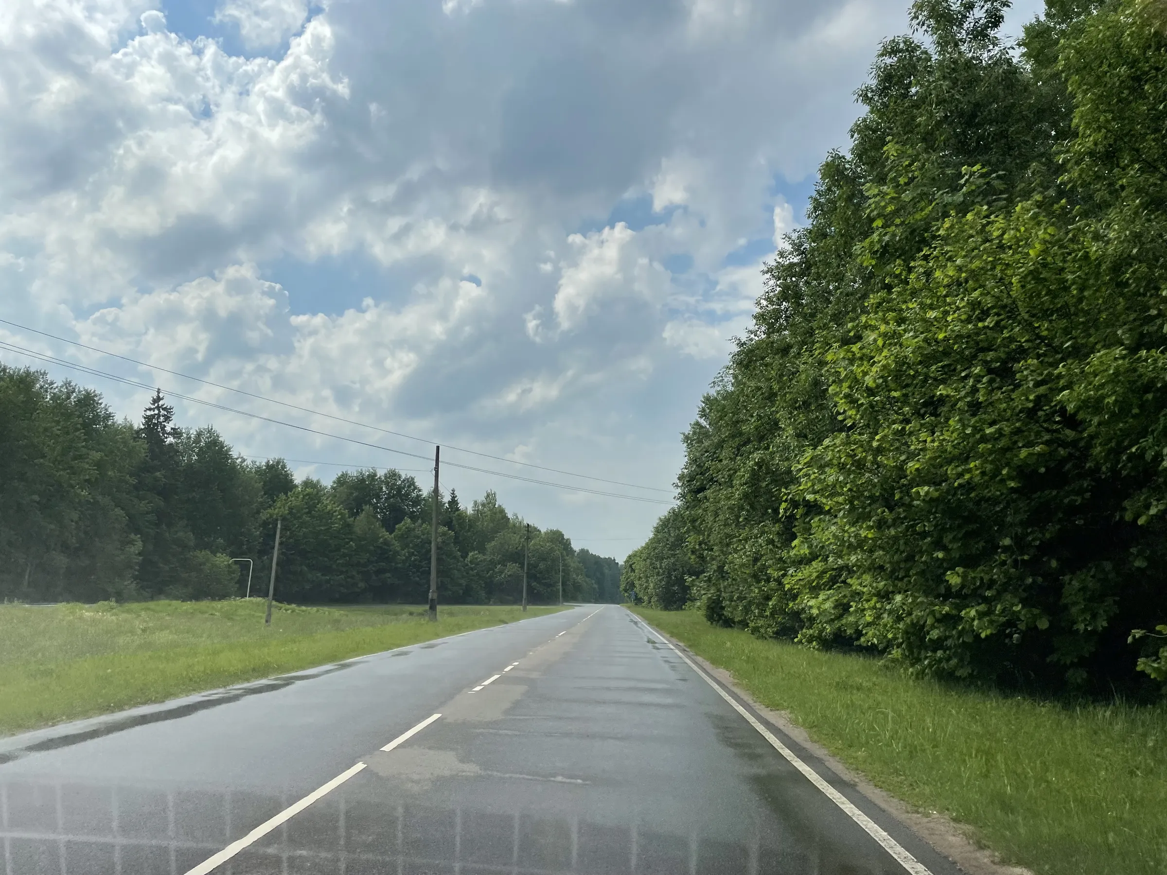 Эстакада лесной долины, фото 4
