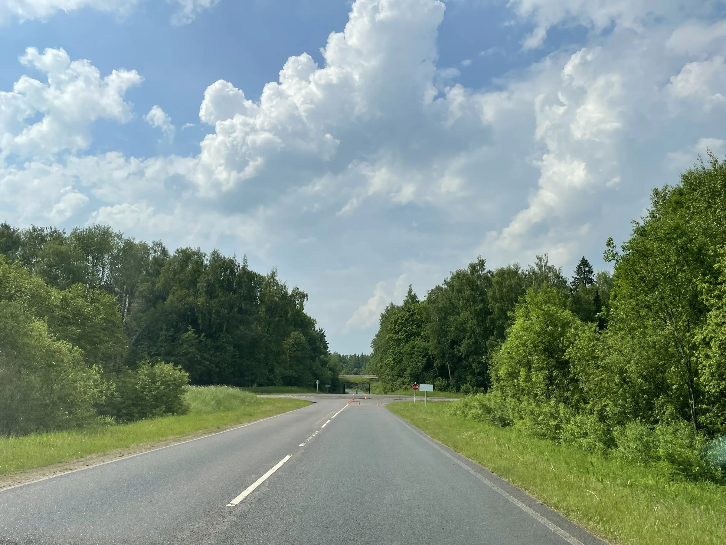 Эстакада лесной долины, фото 9