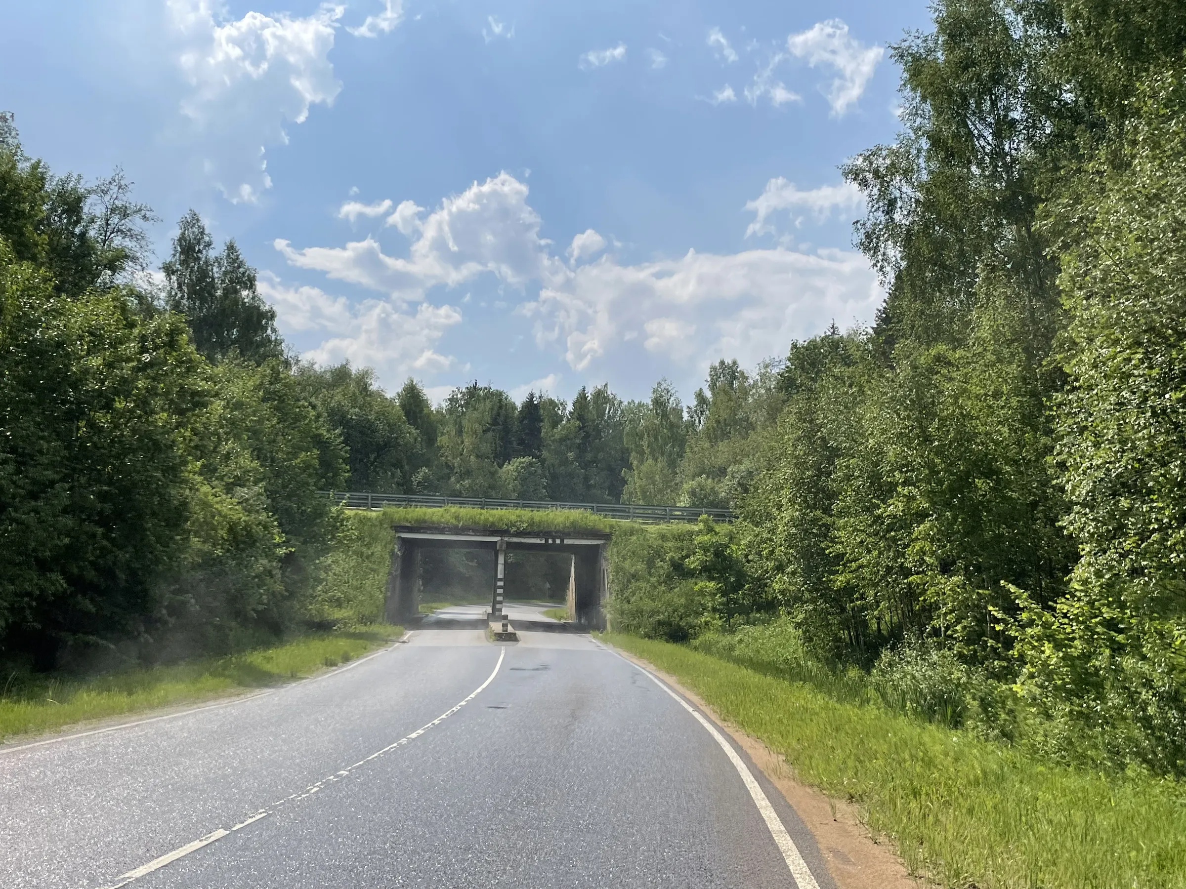 Эстакада лесной долины, фото 12
