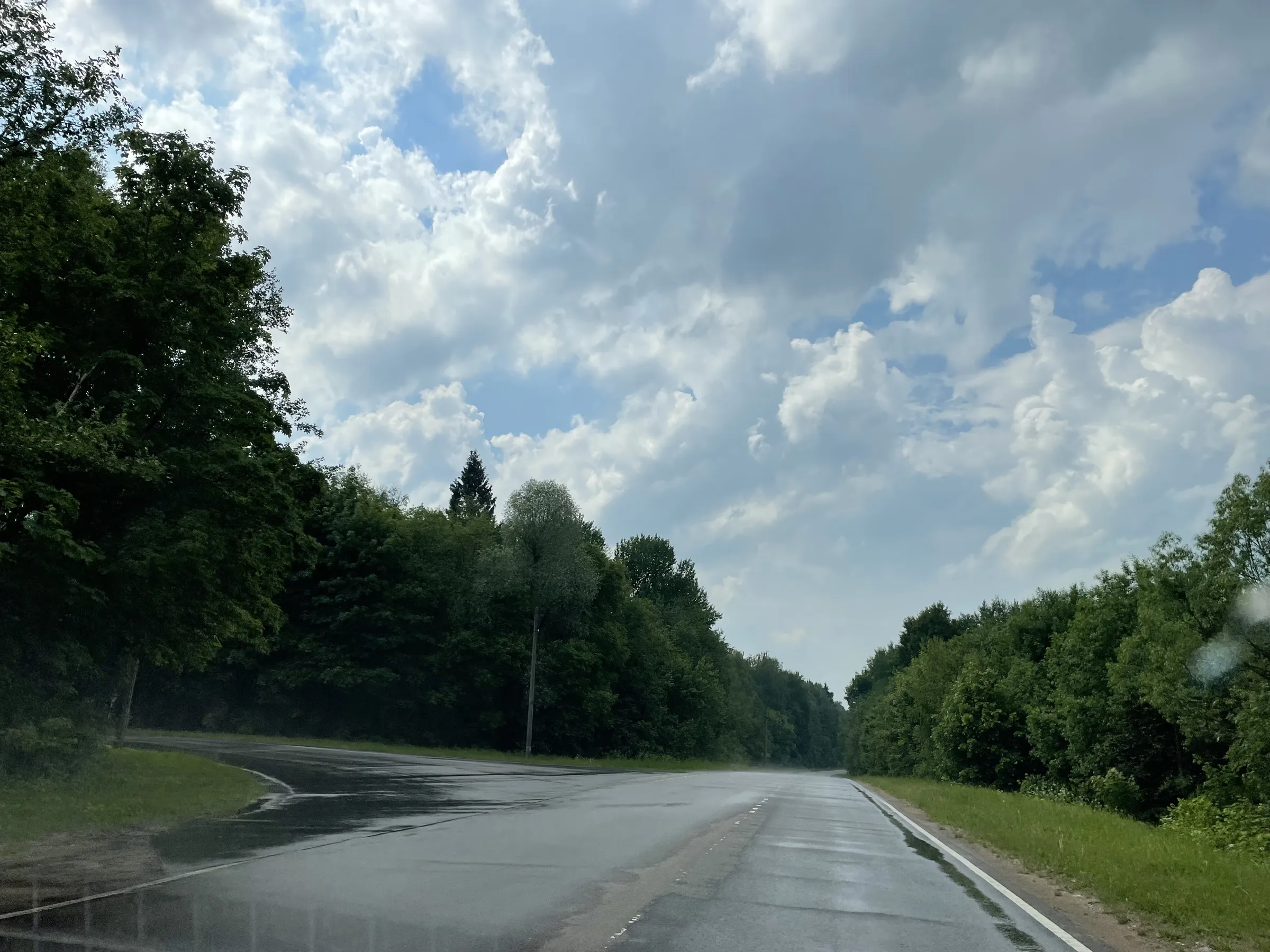 Эстакада лесной долины, фото 5