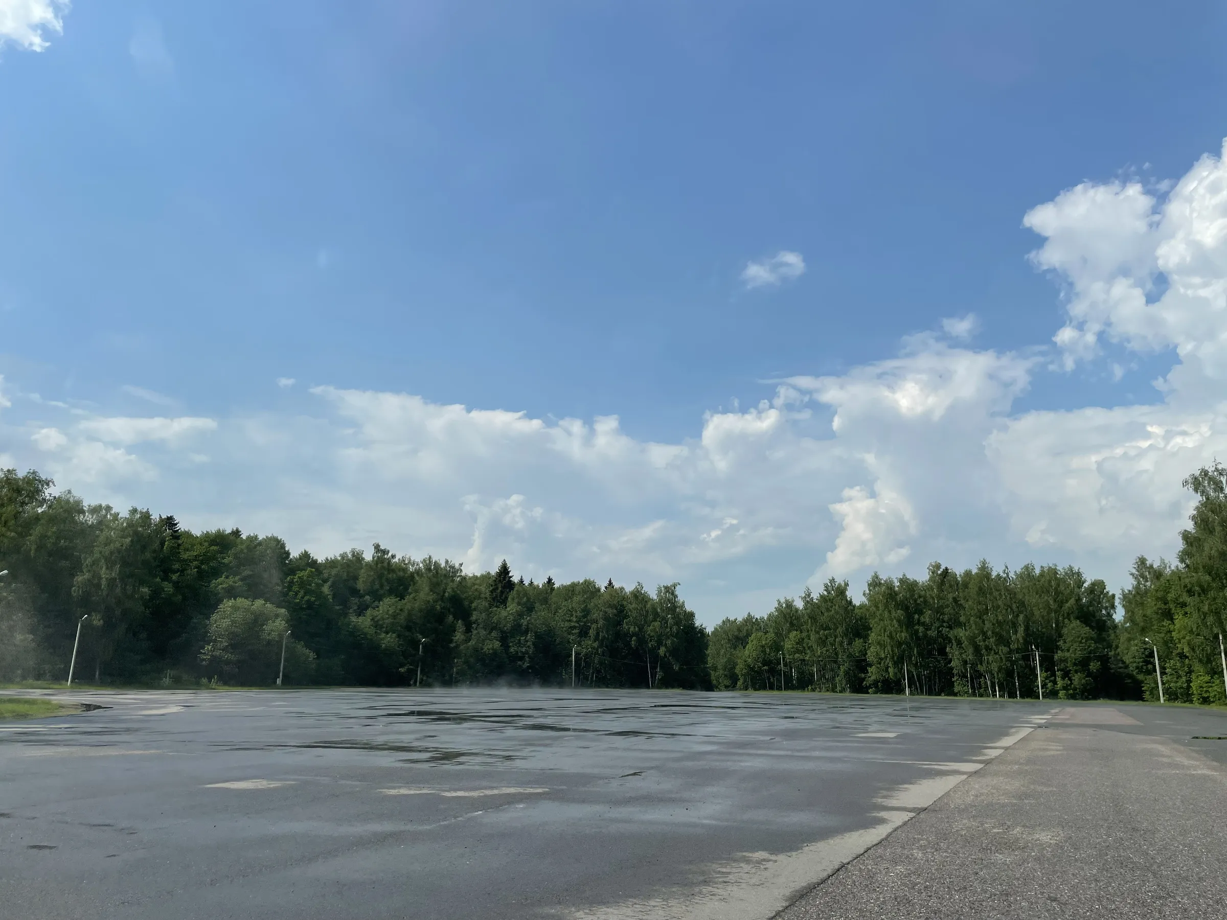 Эстакада лесной долины, фото 20