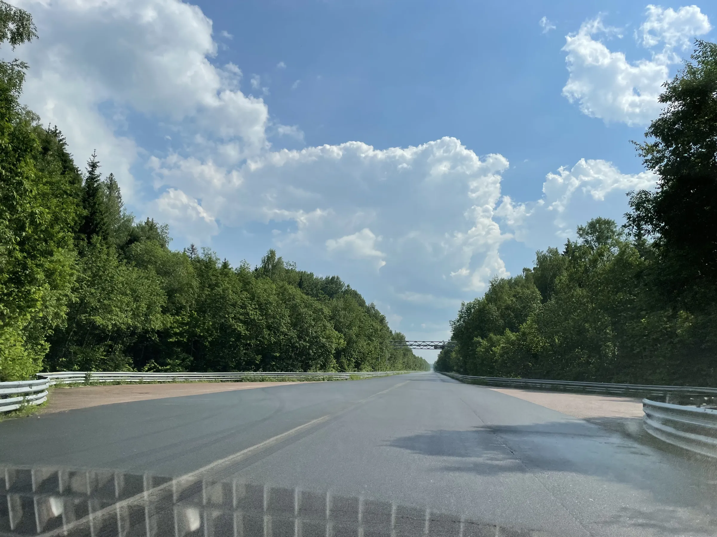 Эстакада лесной долины, фото 17