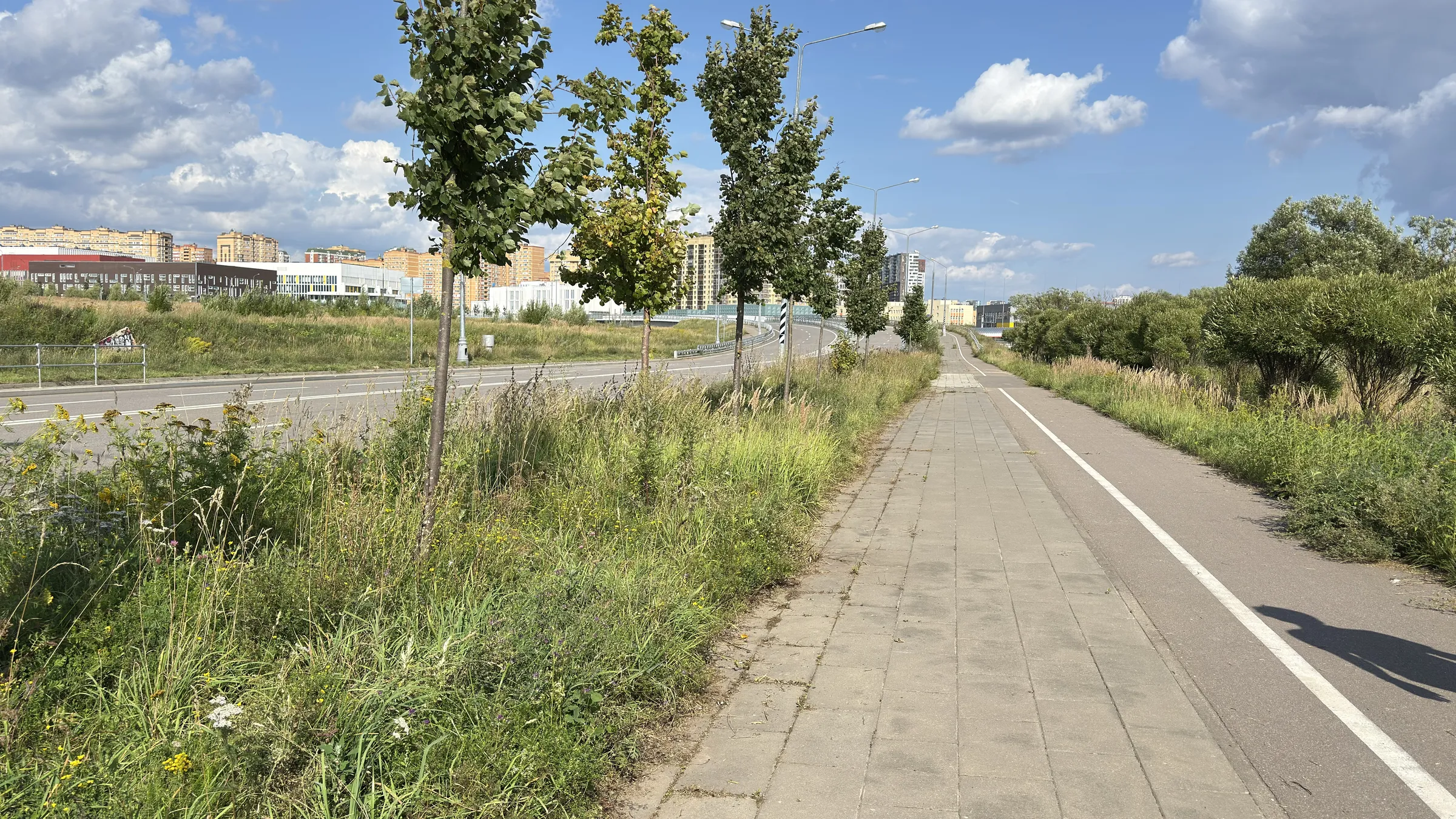 Пустая дорога в поле, фото 1