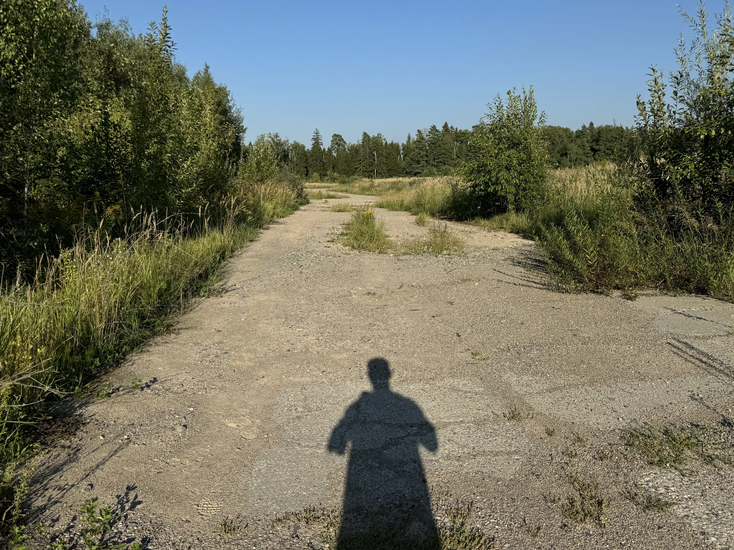 Бетонная дорога в поле, фото 17