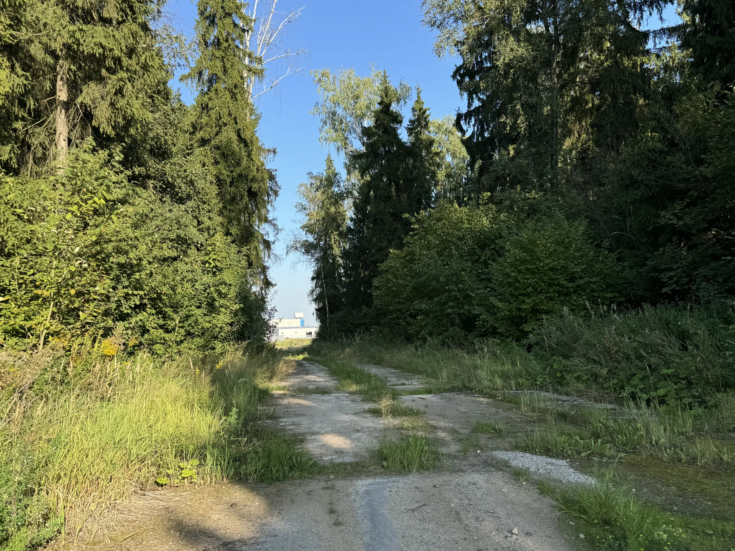 Бетонная дорога в поле, фото 22