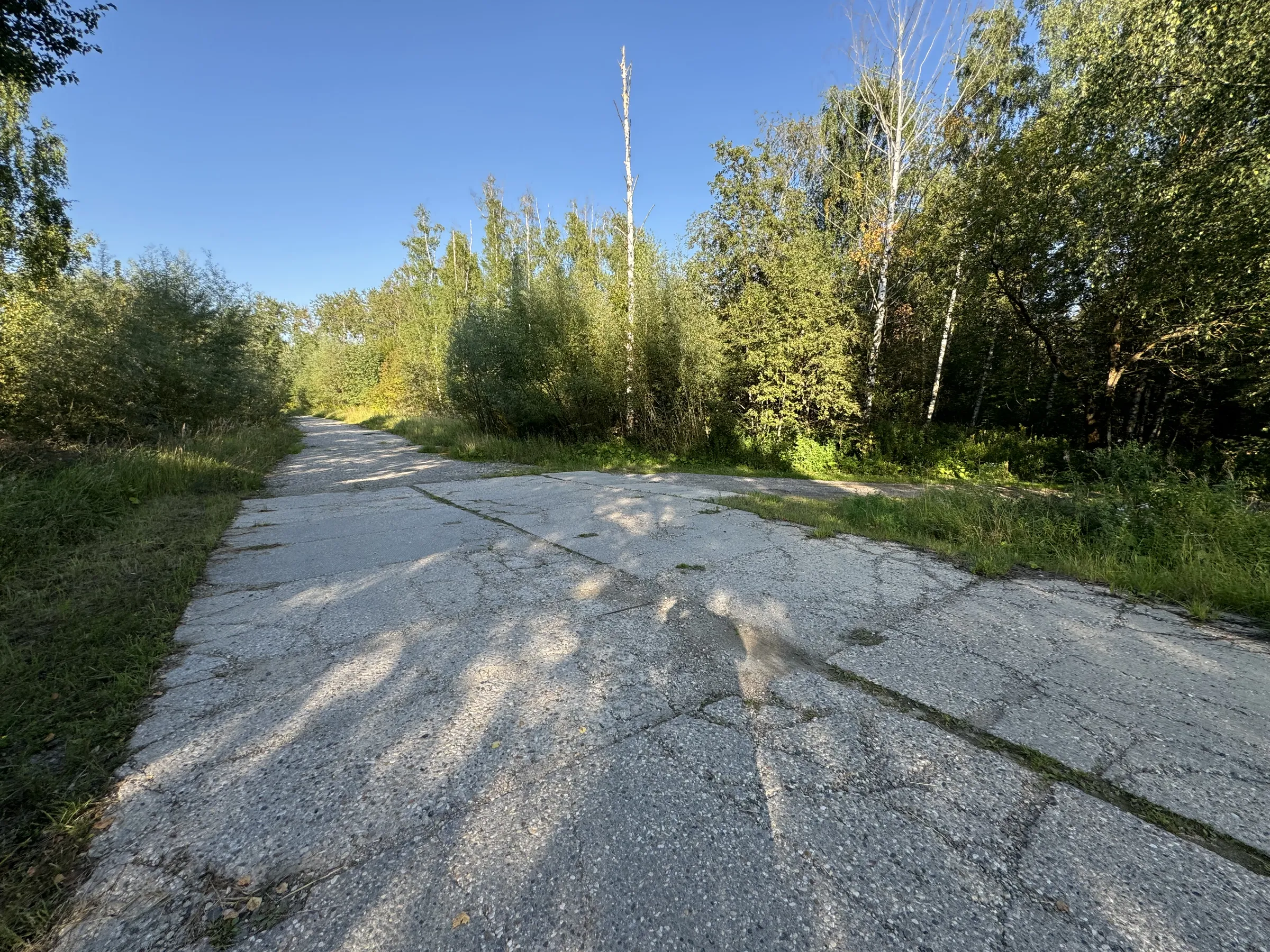 Бетонная дорога в поле, фото 6