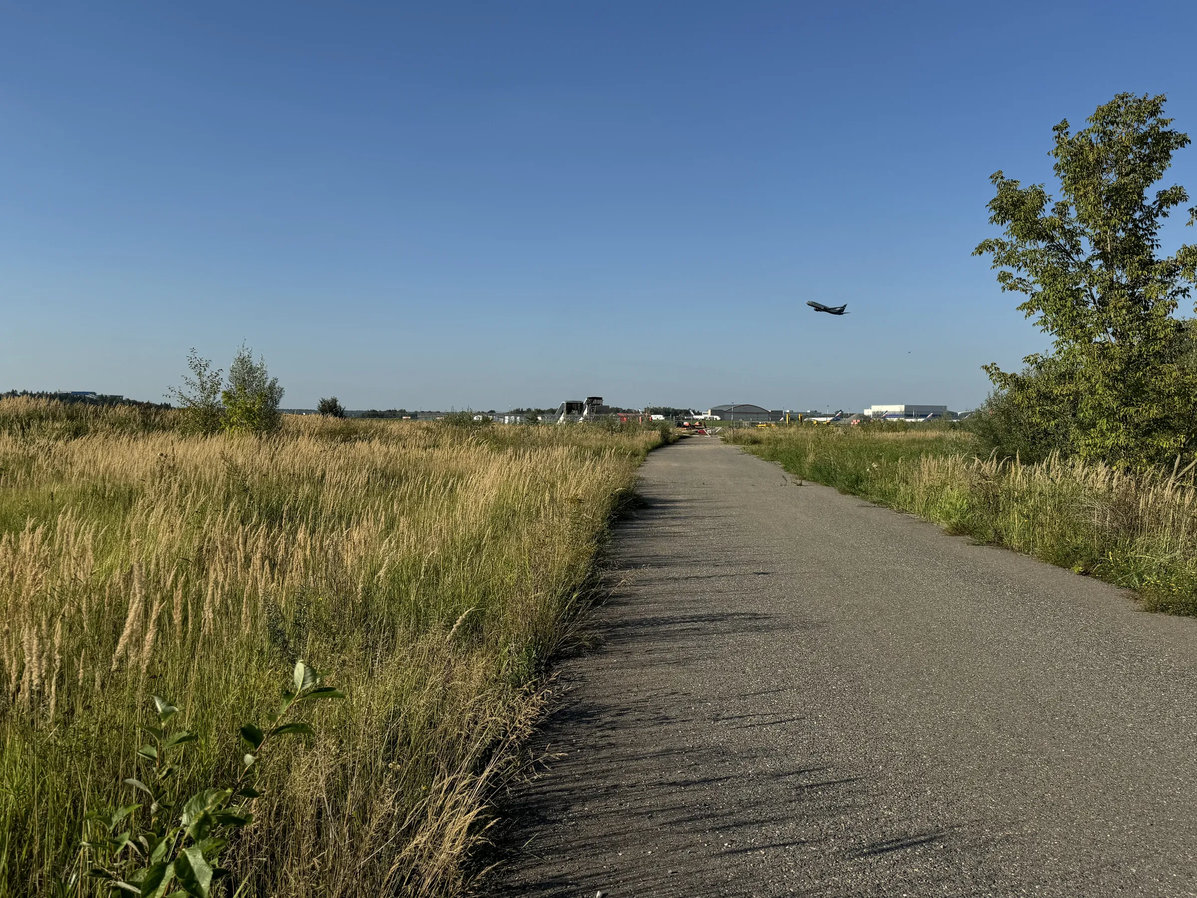 Бетонная дорога в поле, фото 14