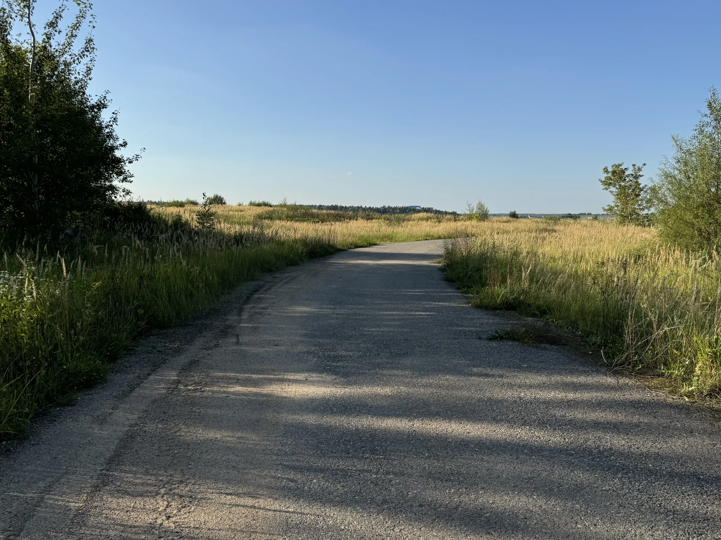 Бетонная дорога в поле, фото 13