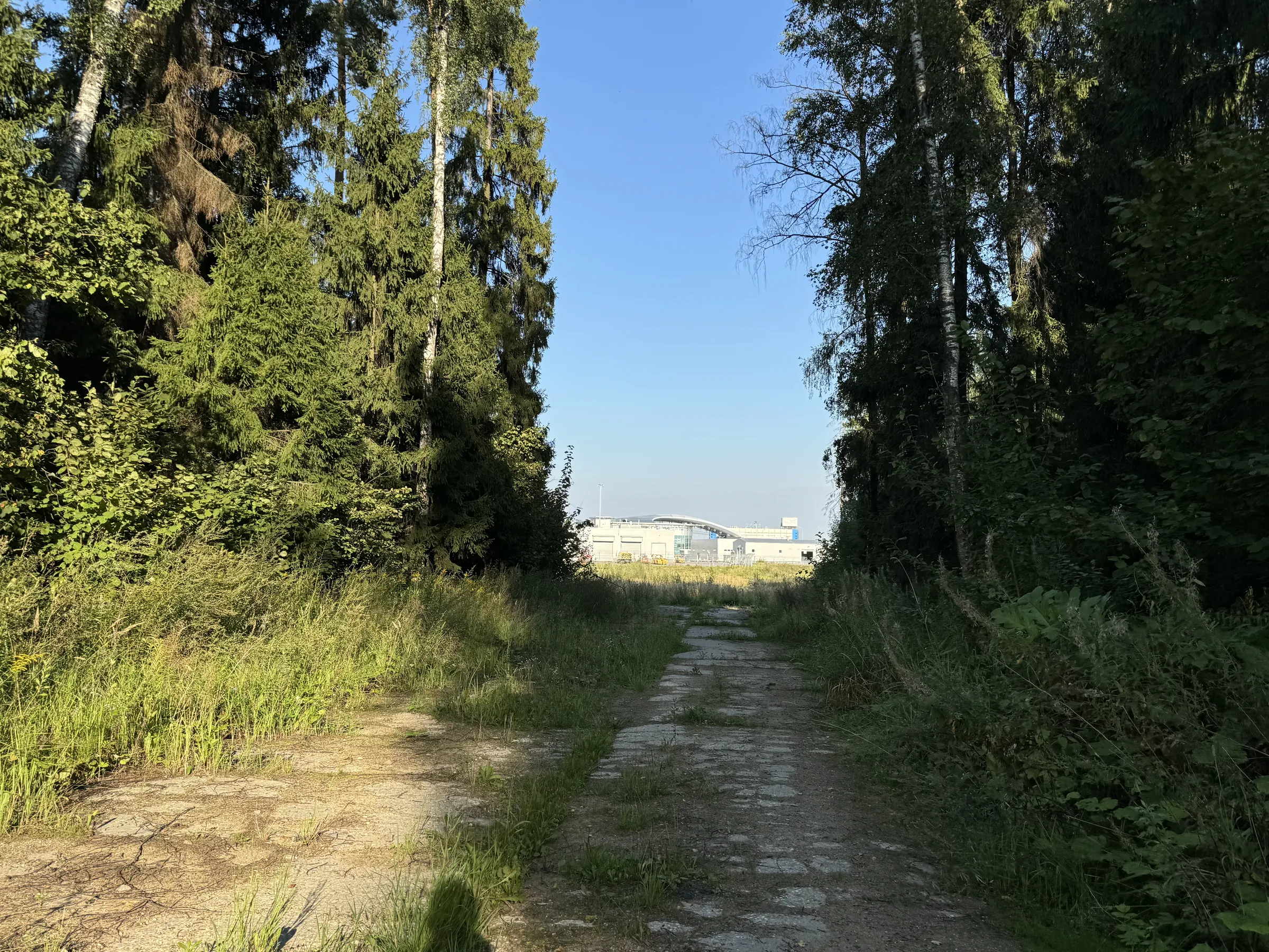 Бетонная дорога в поле, фото 23