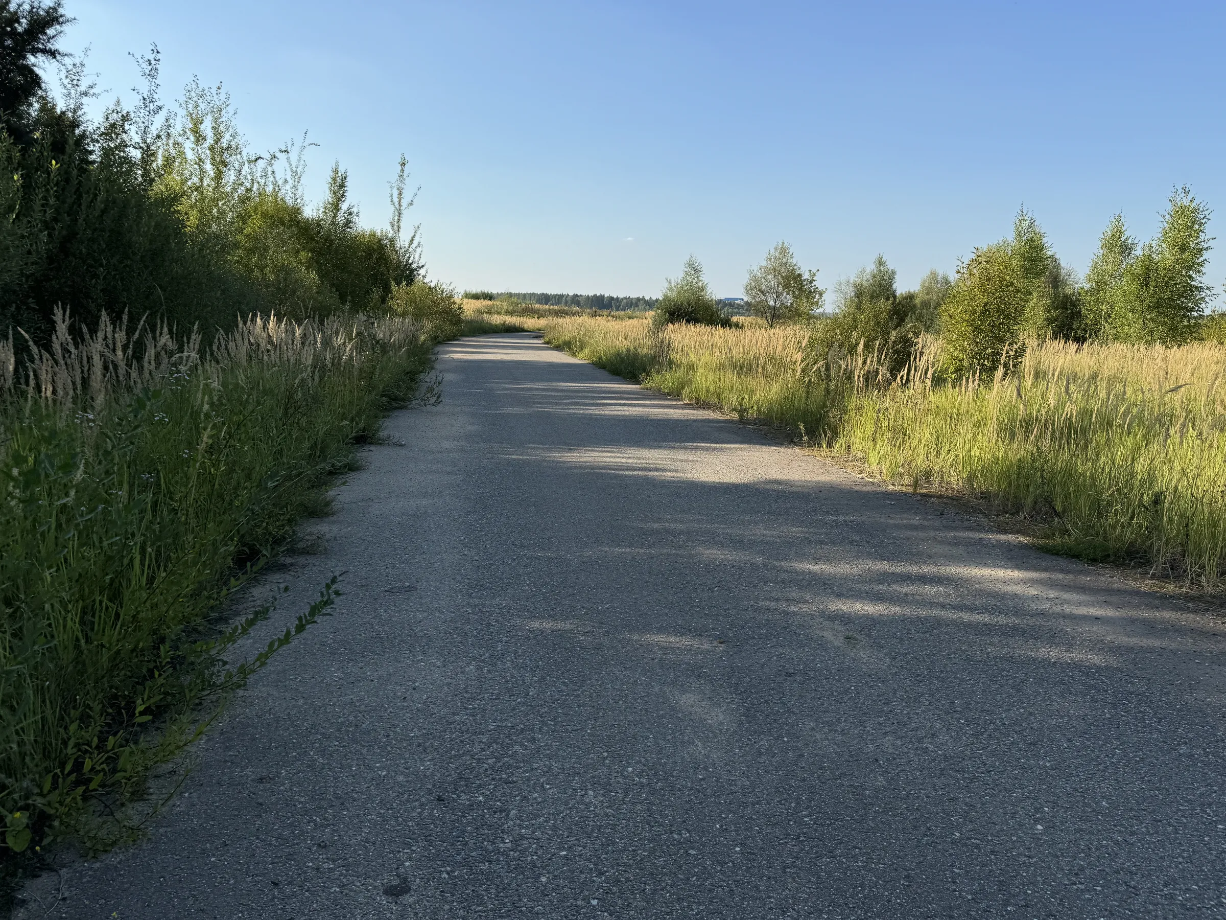 Бетонная дорога в поле, фото 12