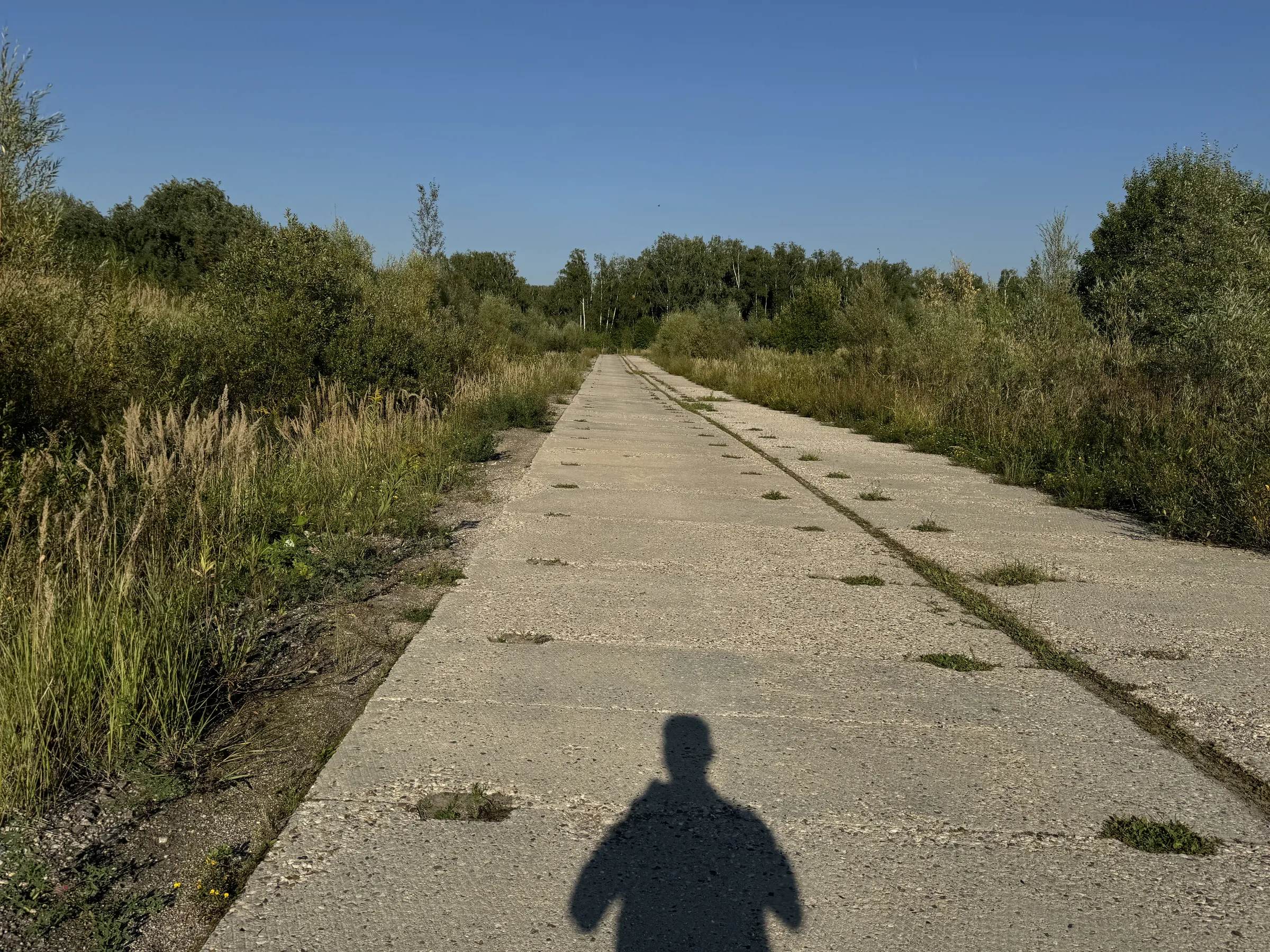 Бетонная дорога в поле, фото 2