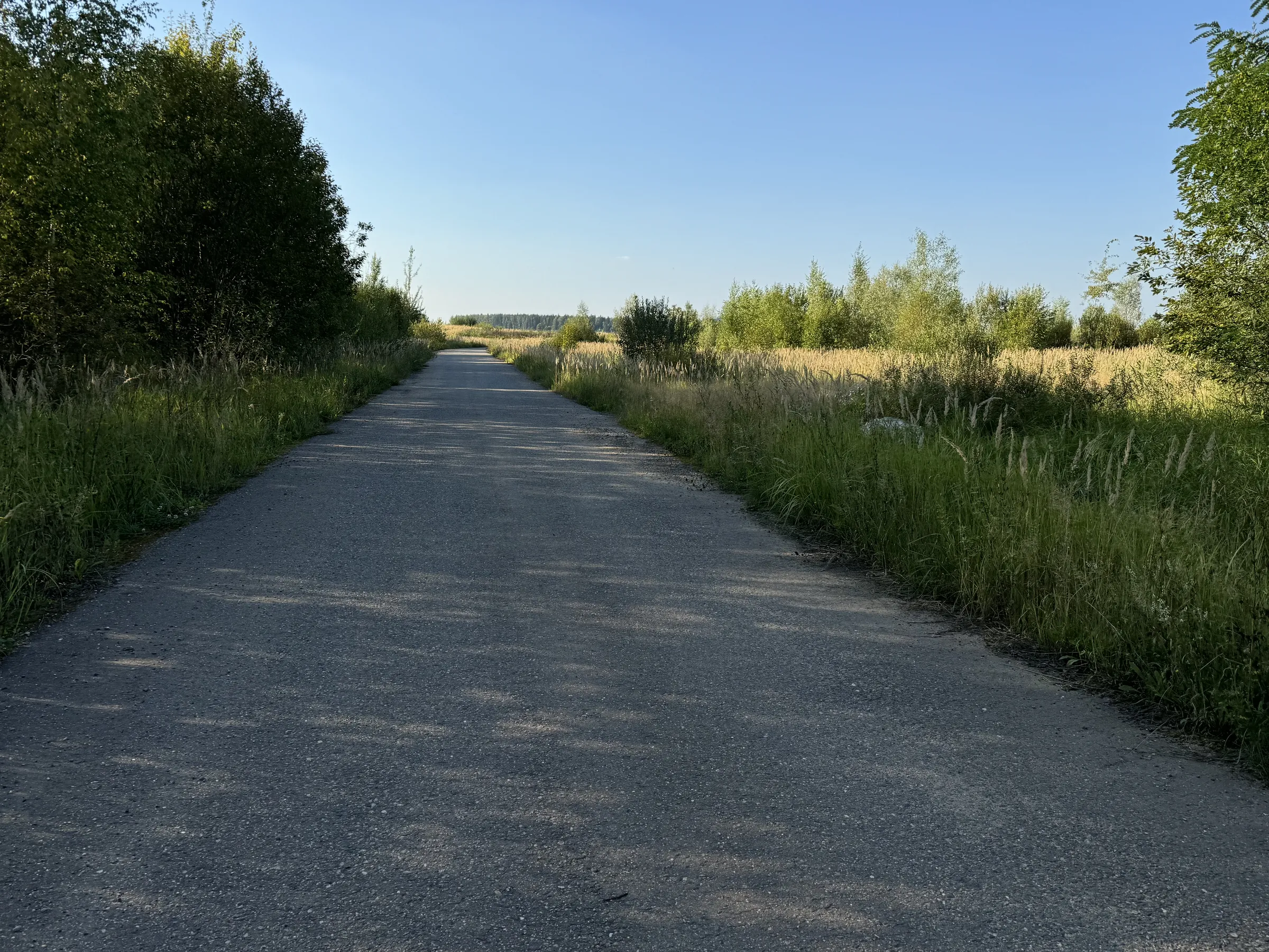 Бетонная дорога в поле, фото 11
