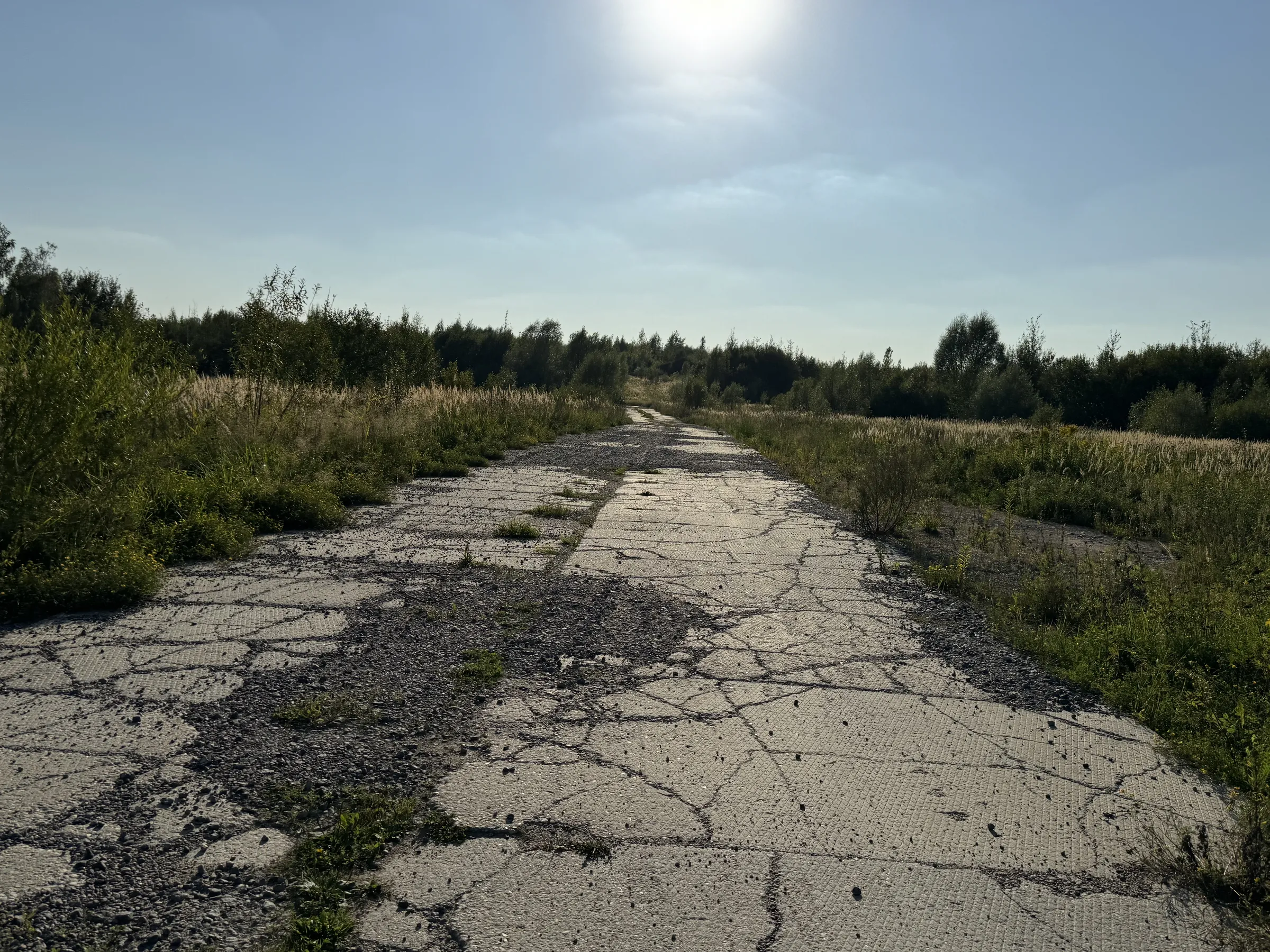 Бетонная дорога в поле, фото 15