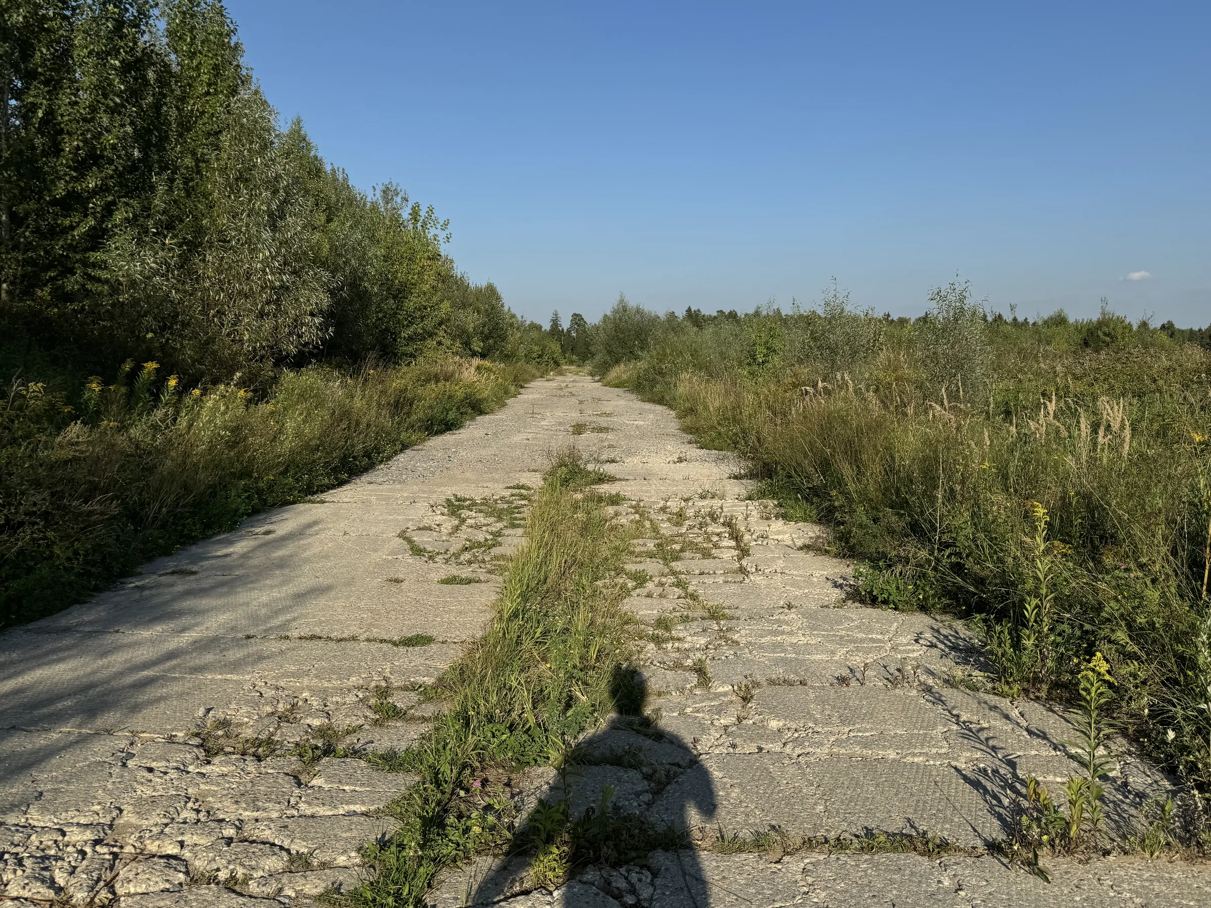 Бетонная дорога в поле, фото 16