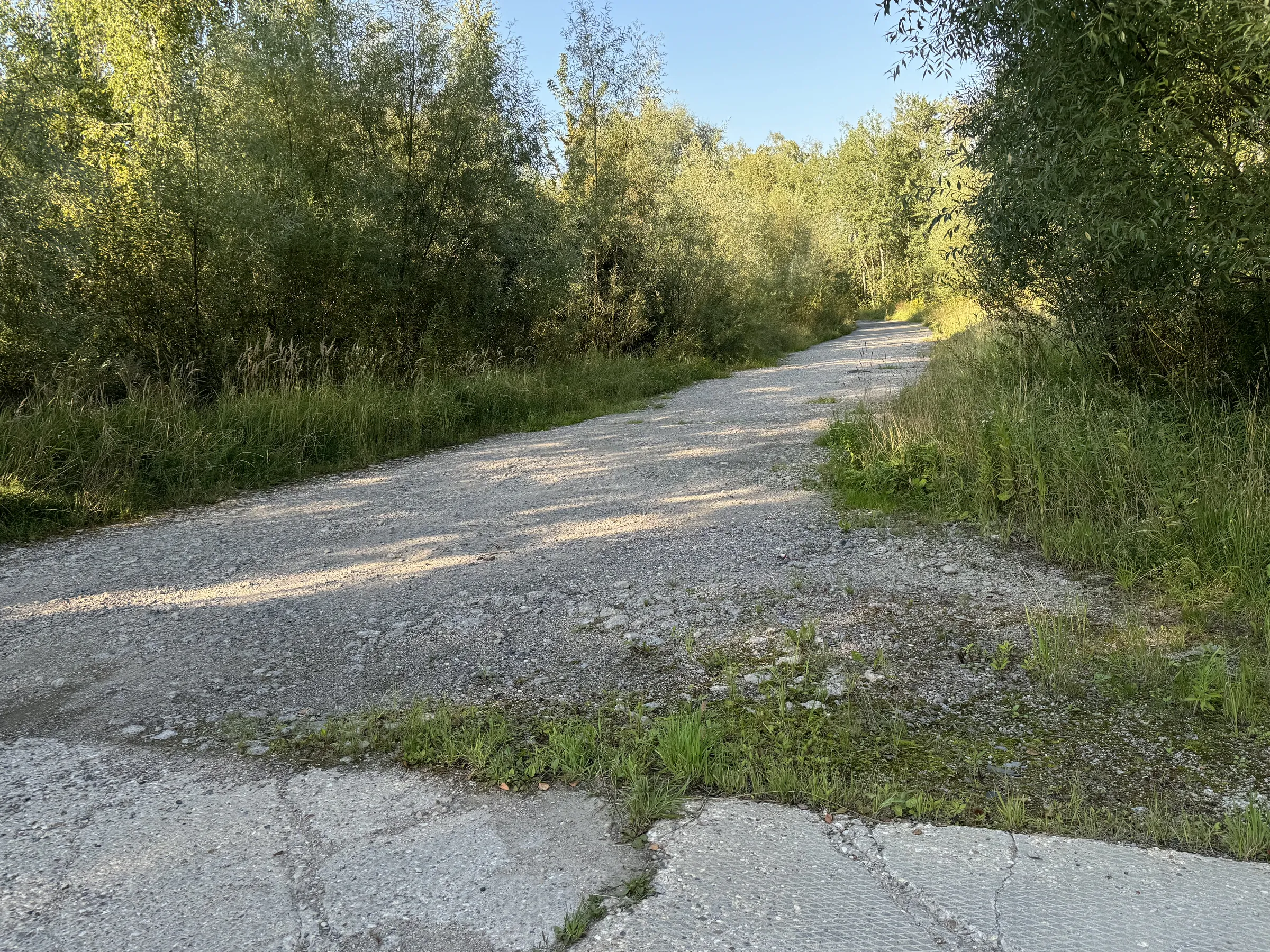 Бетонная дорога в поле, фото 8