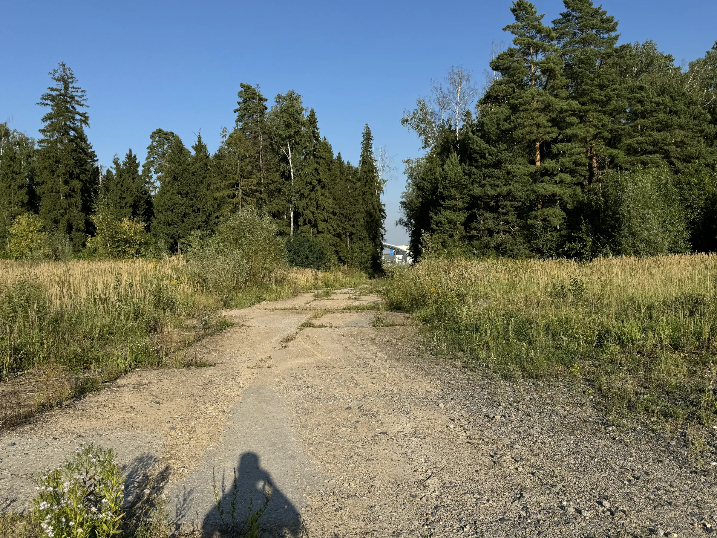 Бетонная дорога в поле, фото 20