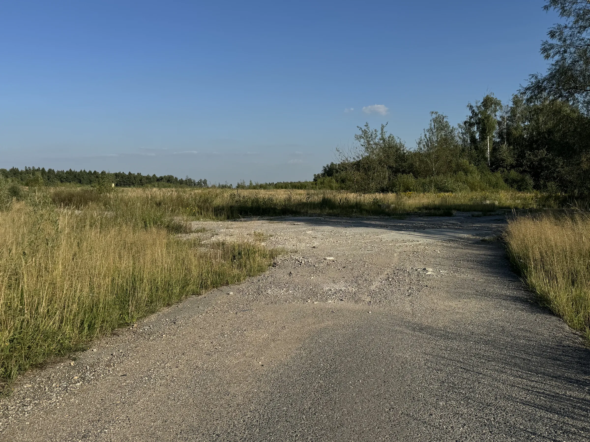 Бетонная дорога в поле, фото 9