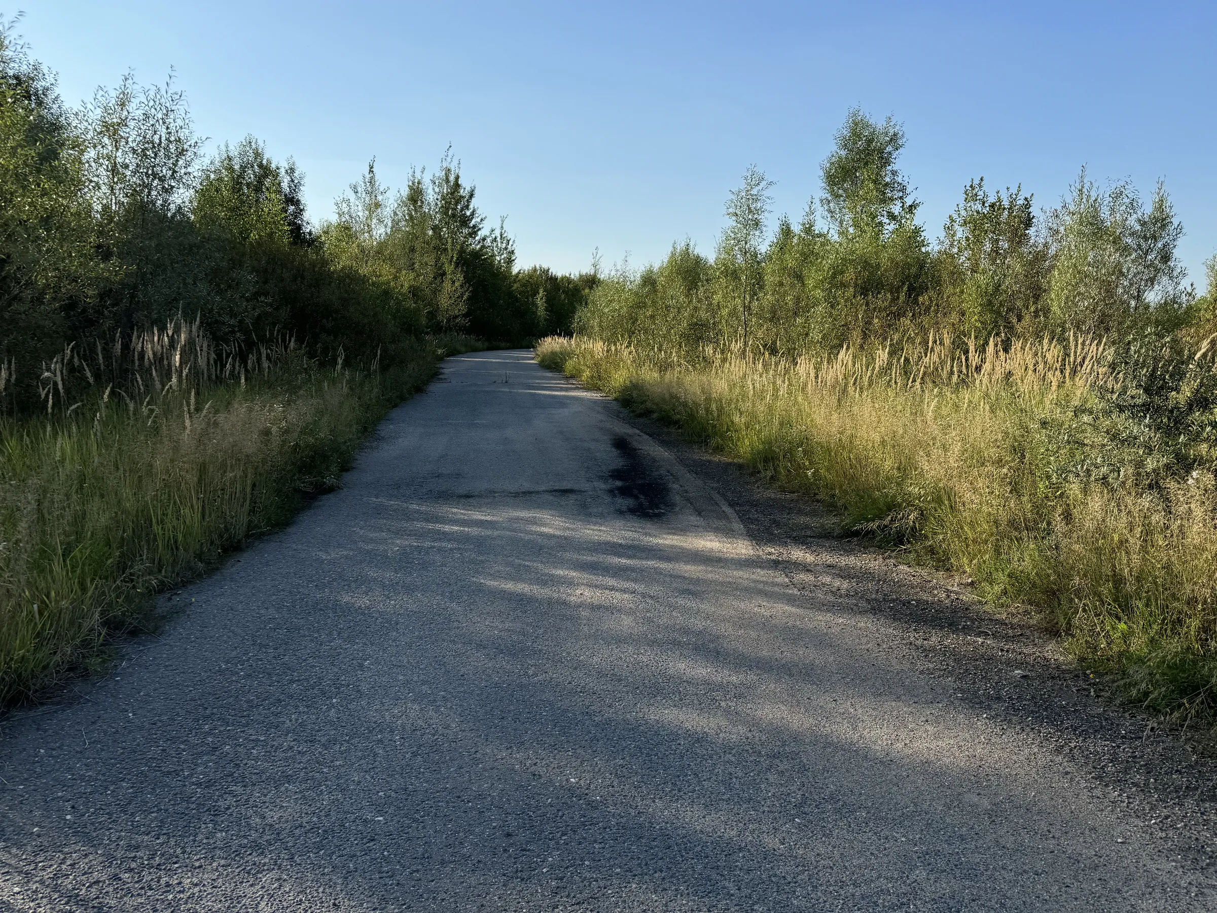 Бетонная дорога в поле, фото 10
