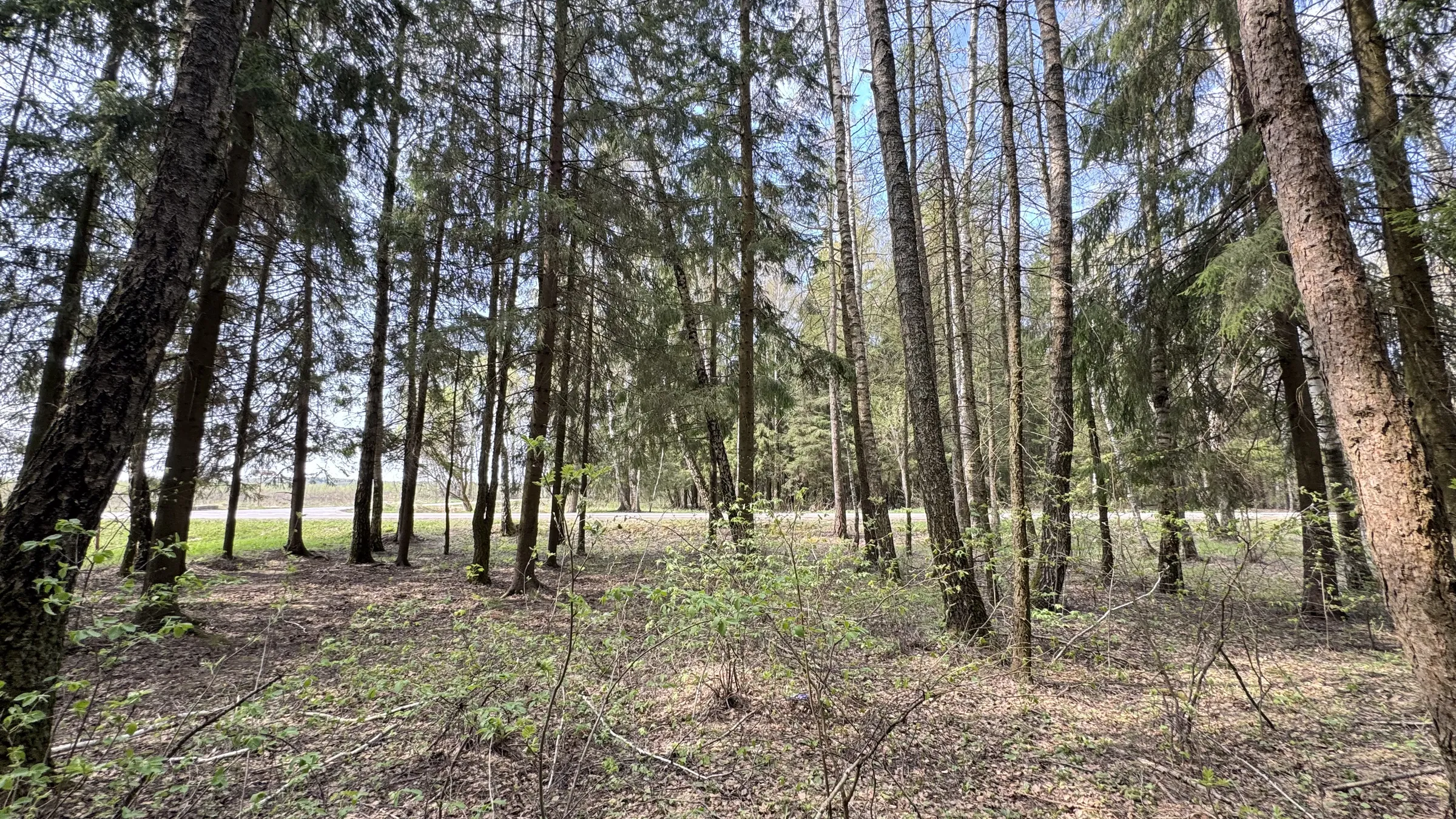 Улица среди полей, фото 18