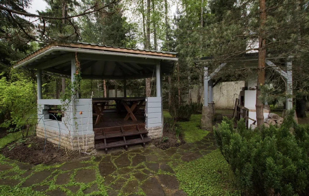 Нефритовый дом в лесу, фото 6