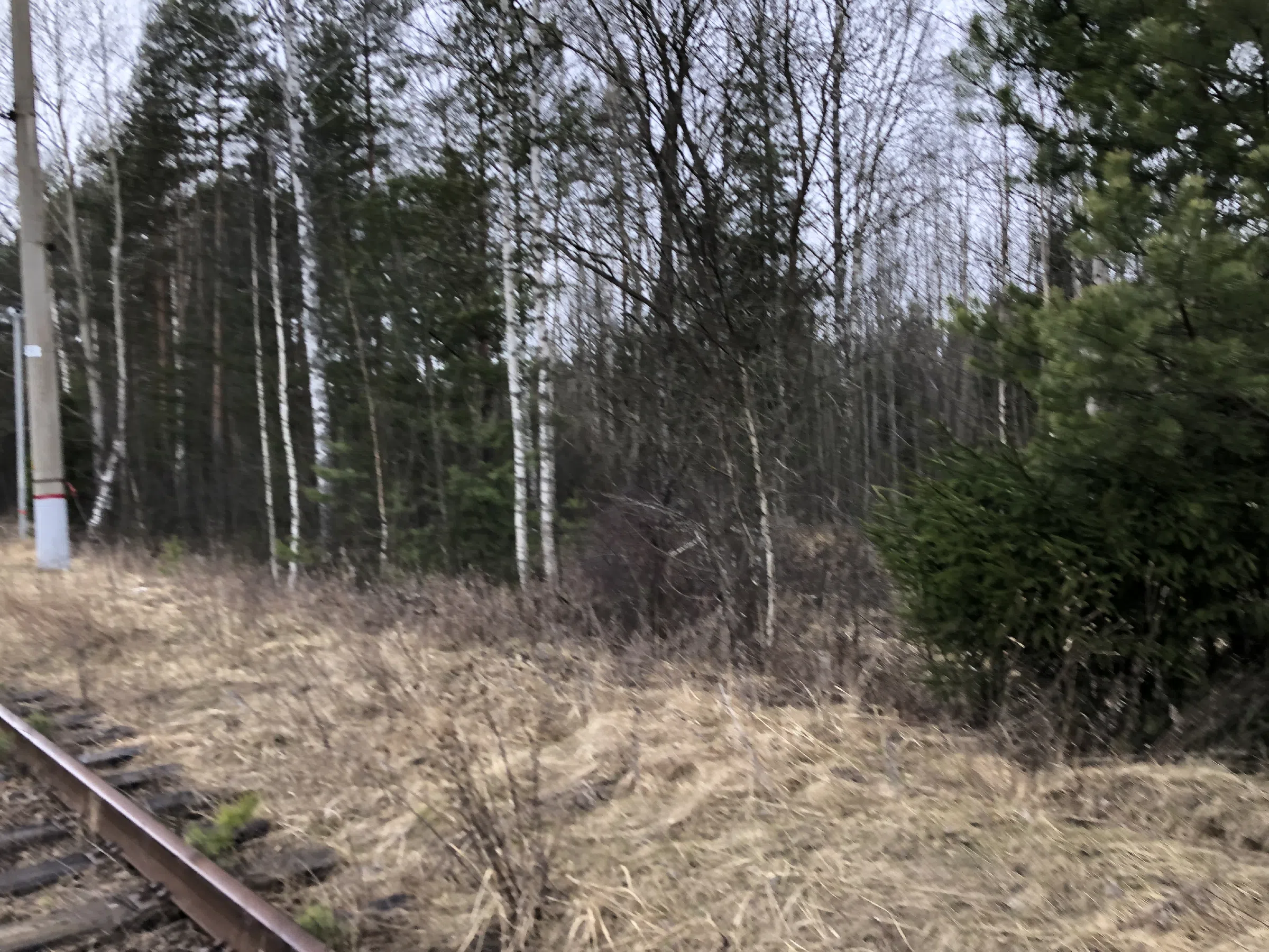 Заброшенная ЖД станция, фото 10