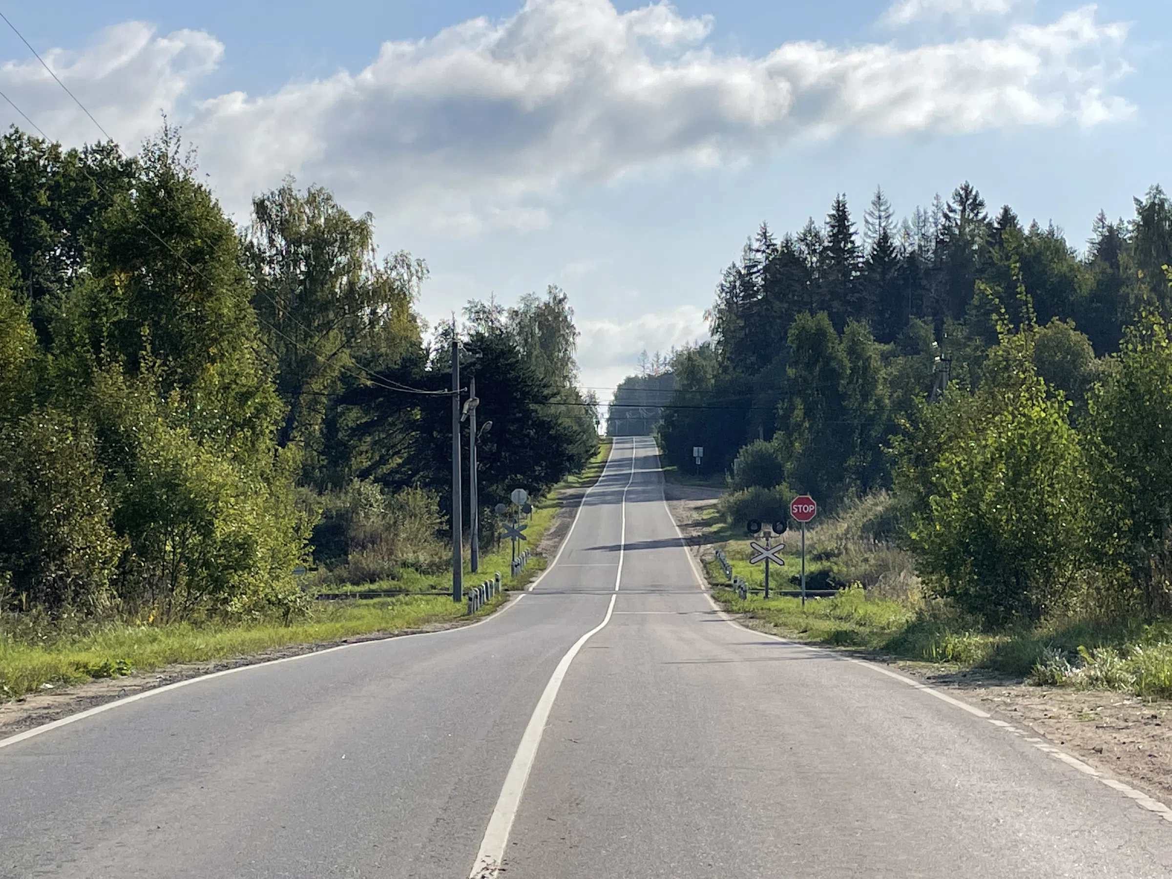 Железнодорожная платформа в лесу, фото 1