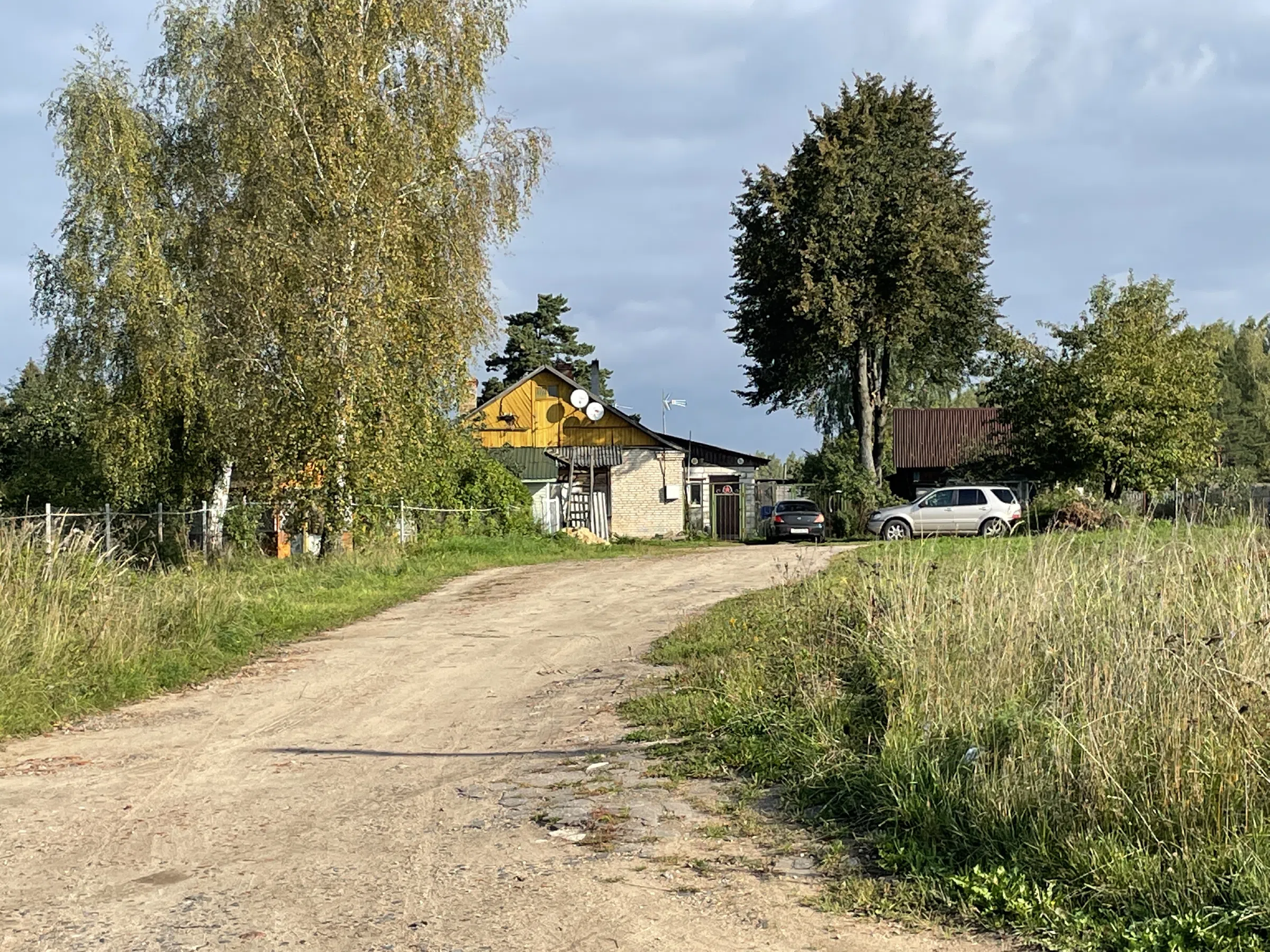 Железнодорожная платформа в лесу, фото 2