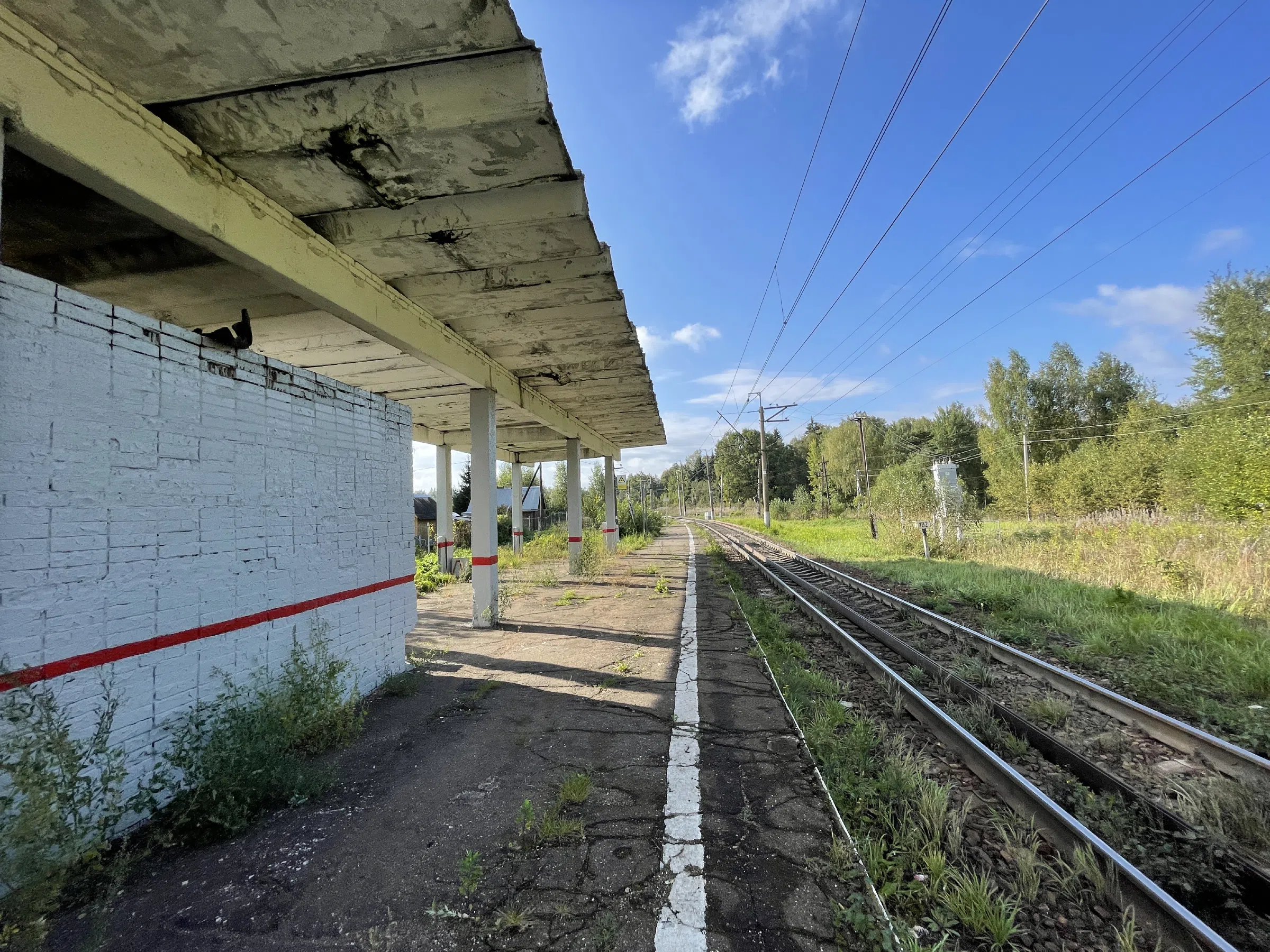Железнодорожная платформа в лесу, фото 12