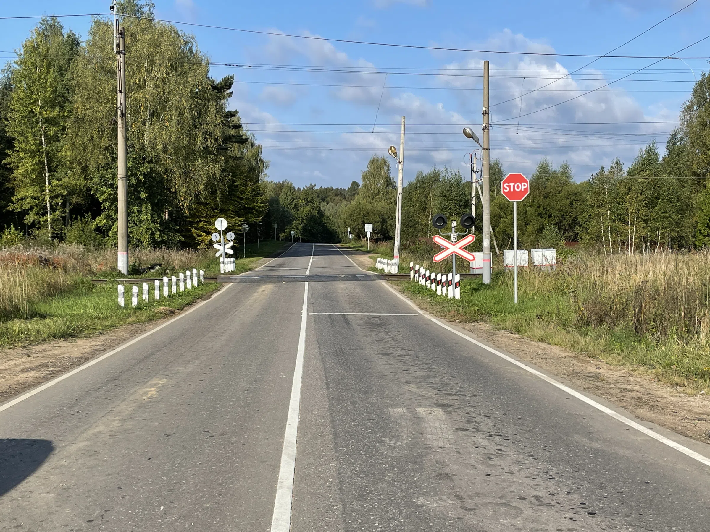 Железнодорожная платформа в лесу, фото 3