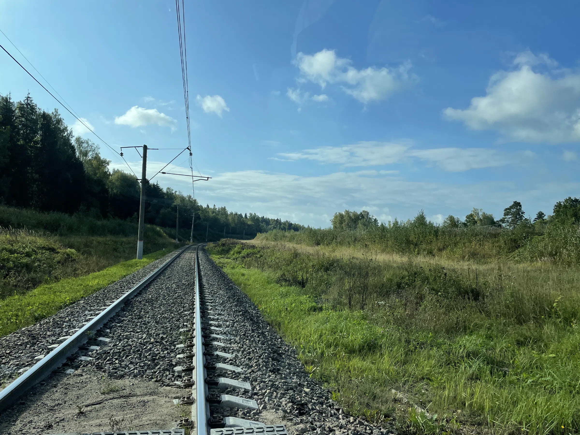 Железнодорожная платформа в лесу, фото 13