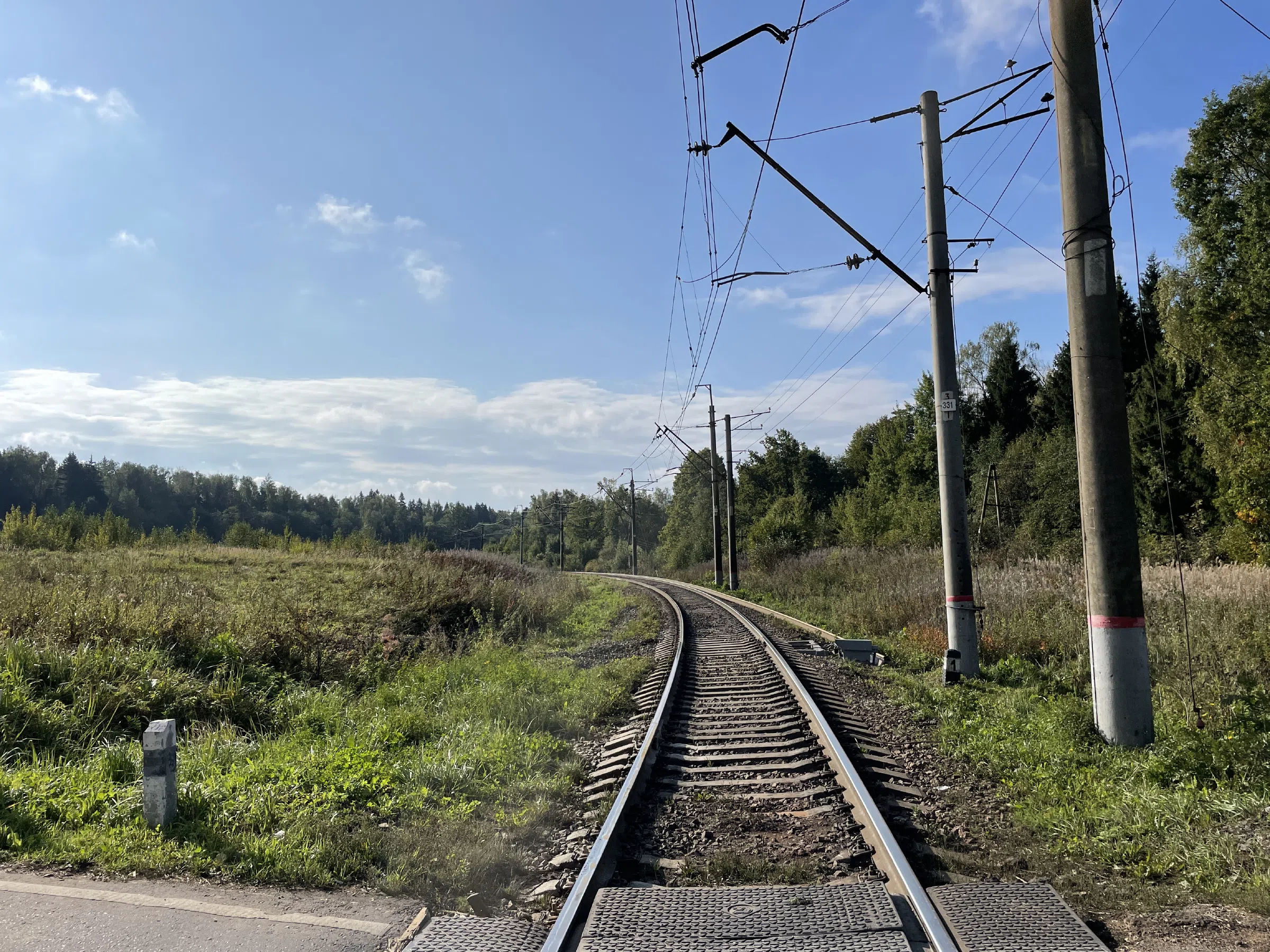 Железнодорожная платформа в лесу, фото 5