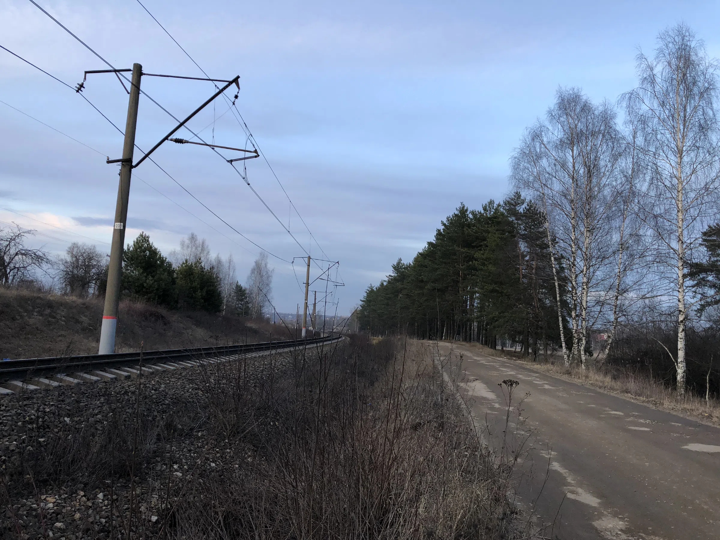 Железнодорожное полотно в лесу, фото 12