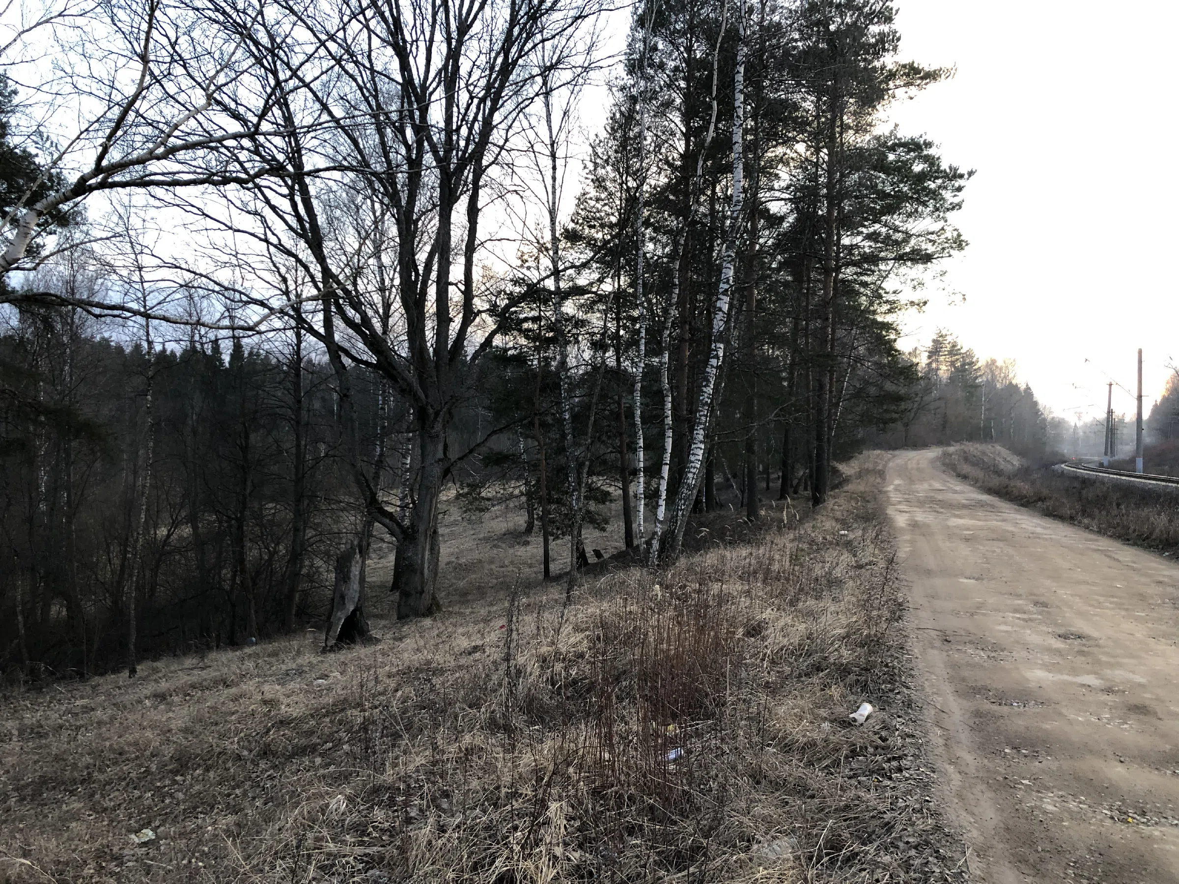 Железнодорожное полотно в лесу, фото 9