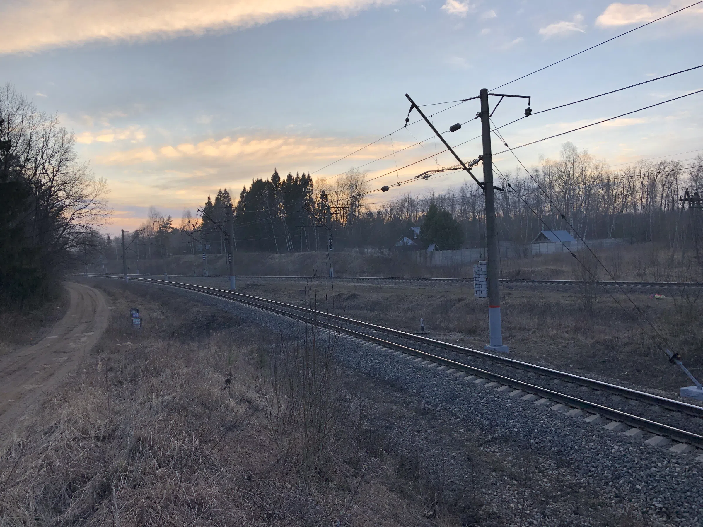 Железнодорожное полотно в лесу, фото 15