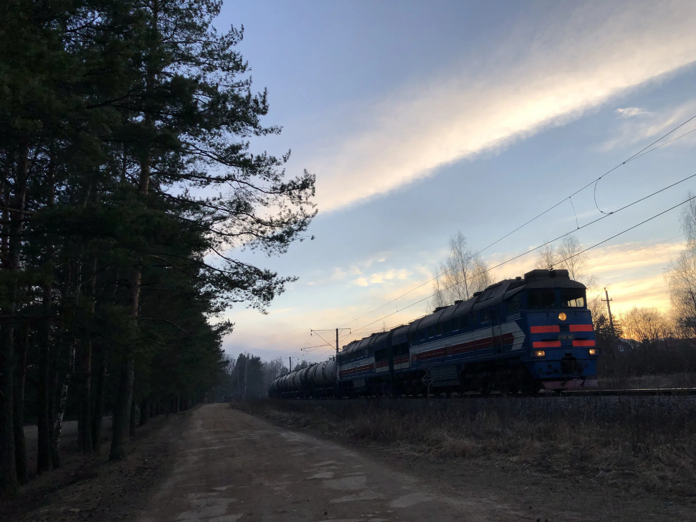 Железнодорожное полотно в лесу, фото 3