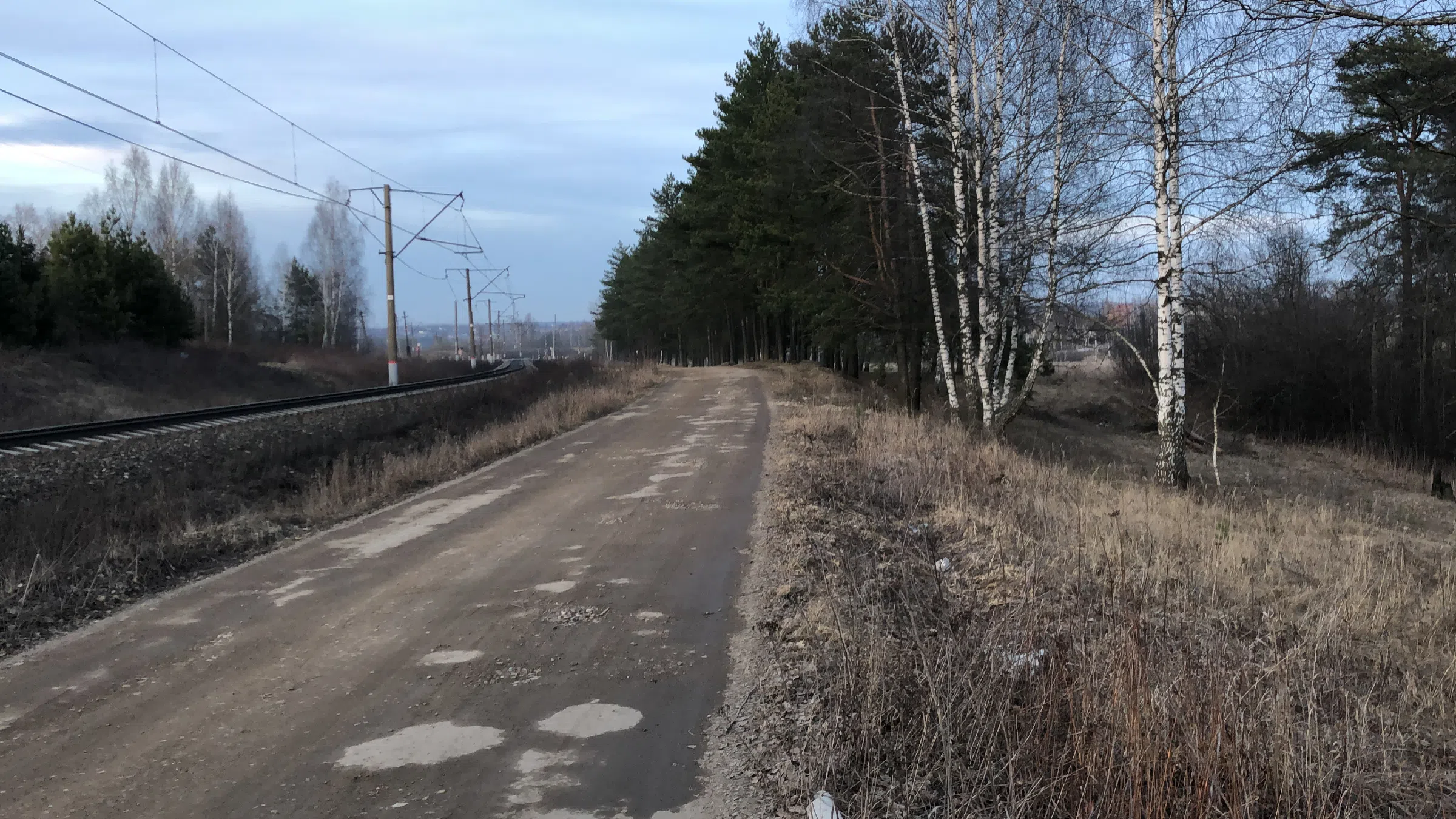 Железнодорожное полотно в лесу, фото 7