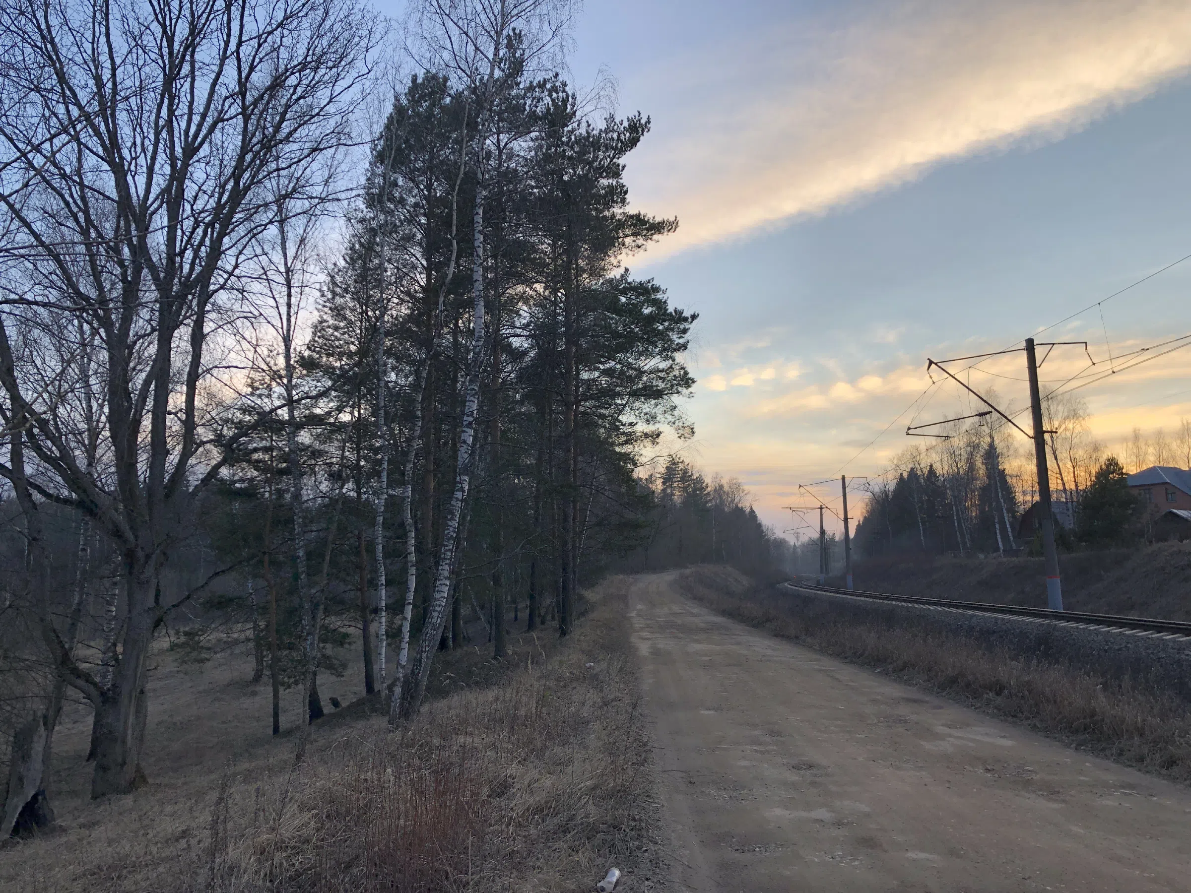 Железнодорожное полотно в лесу, фото 10