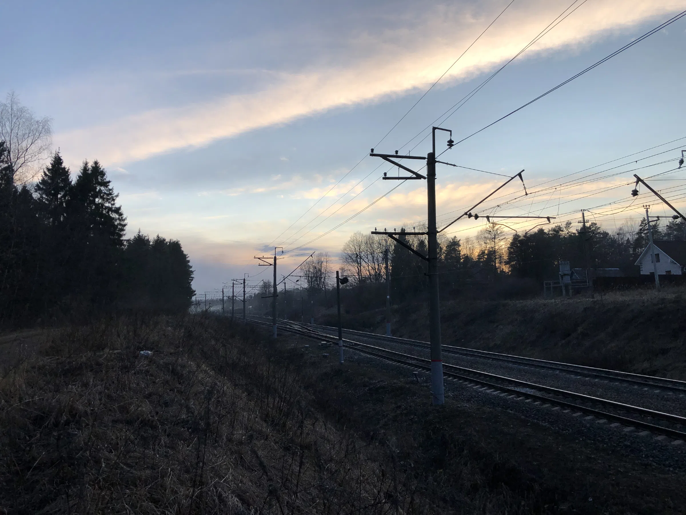 Железнодорожное полотно в лесу, фото 18