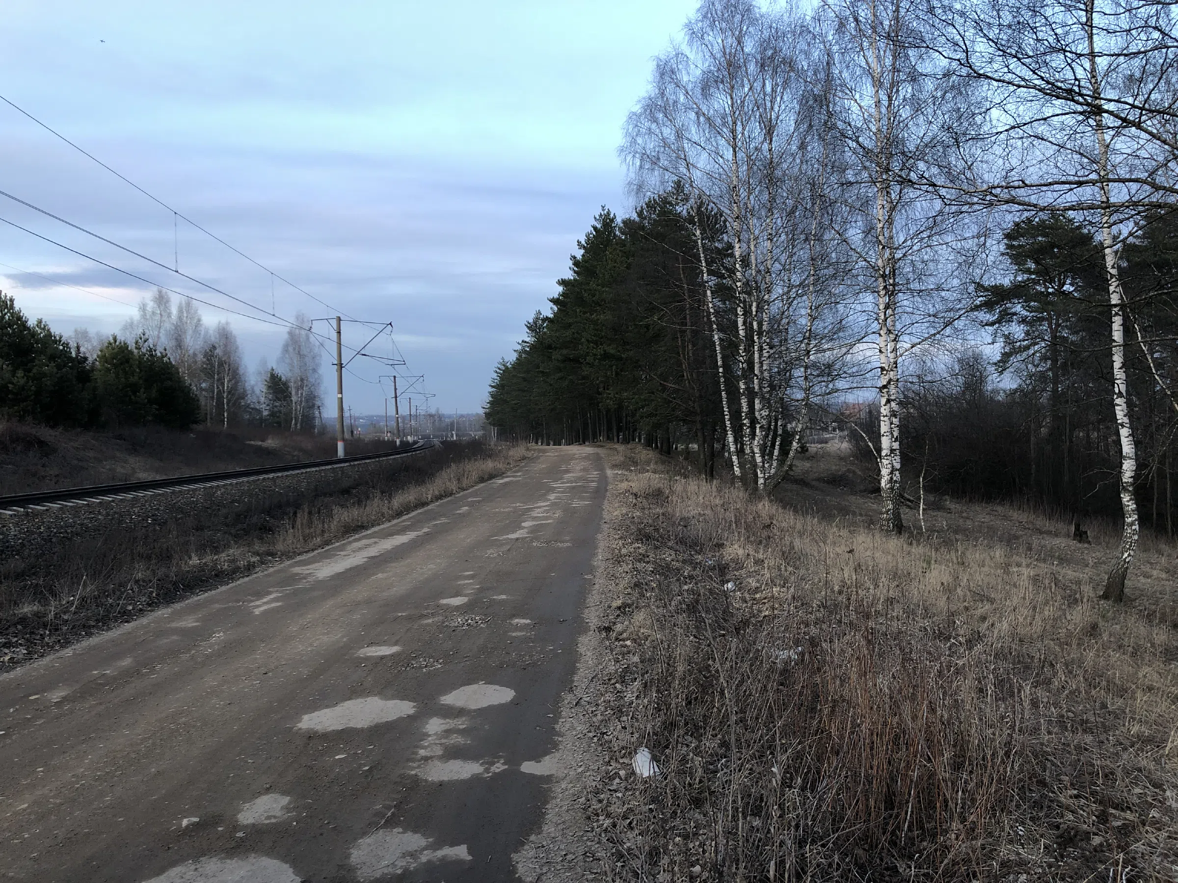 Железнодорожное полотно в лесу, фото 8