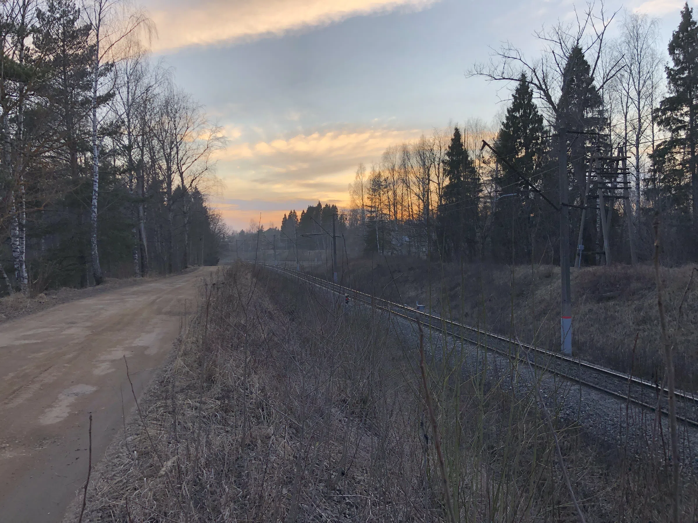 Железнодорожное полотно в лесу, фото 13