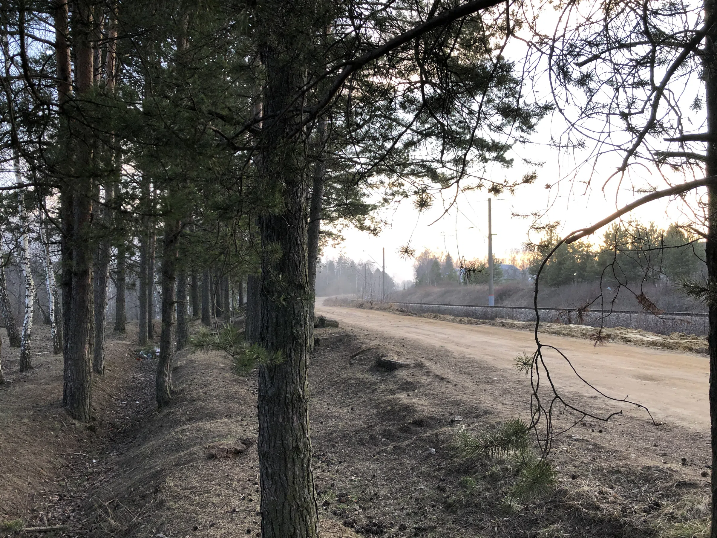 Железнодорожное полотно в лесу, фото 6