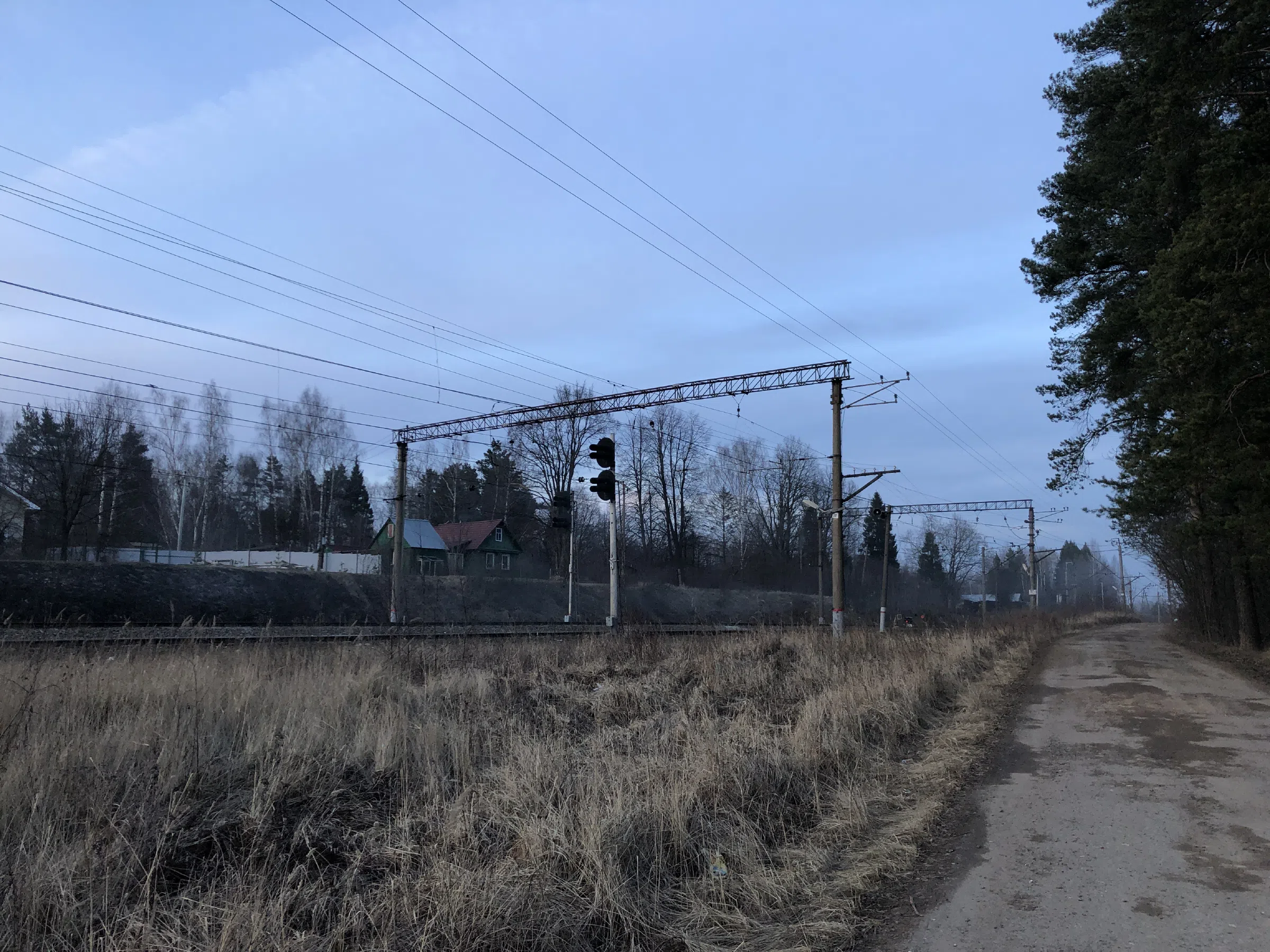 Железнодорожное полотно в лесу, фото 19